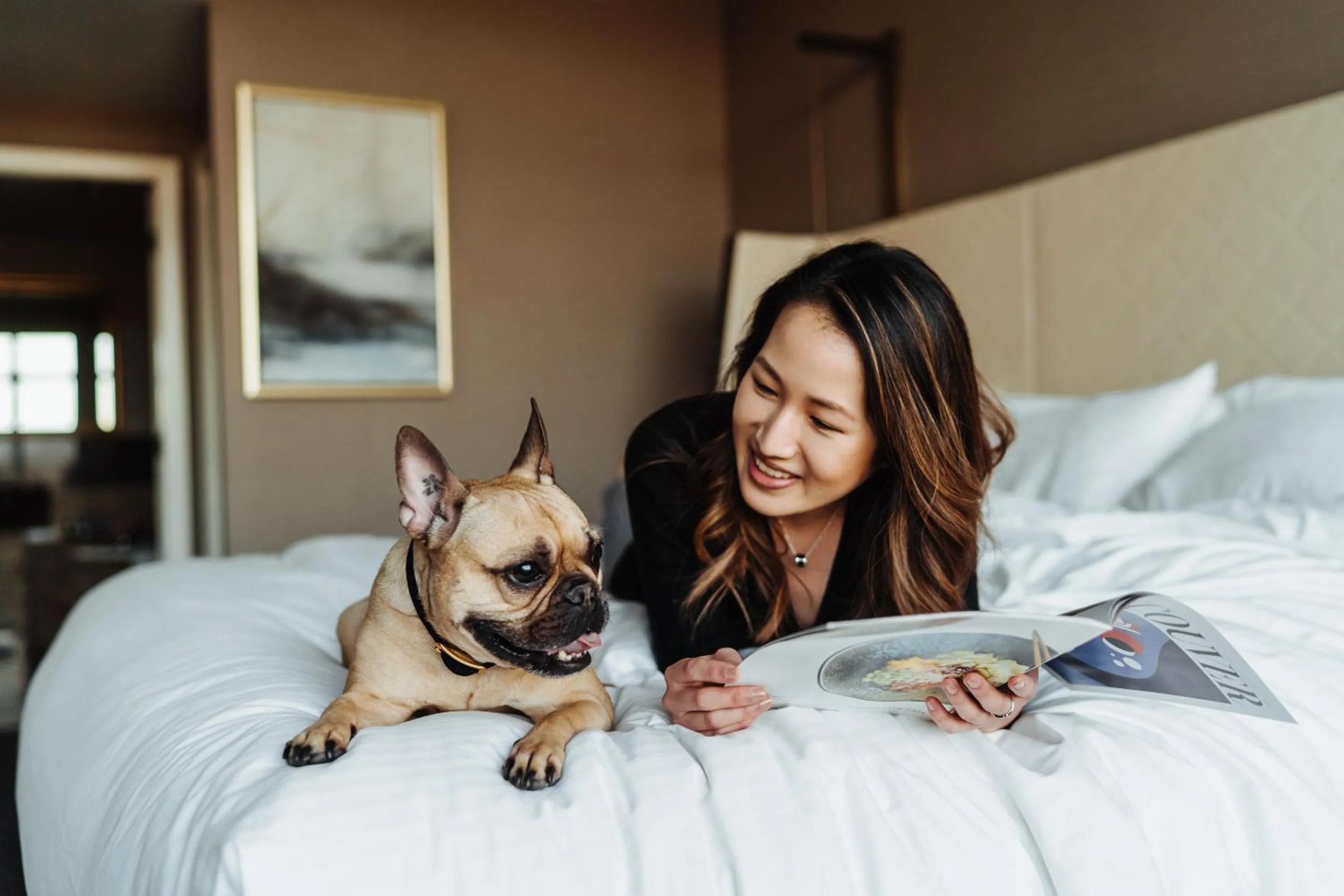 Pets, Bed in Fairmont Vancouver Airport In-Terminal Hotel