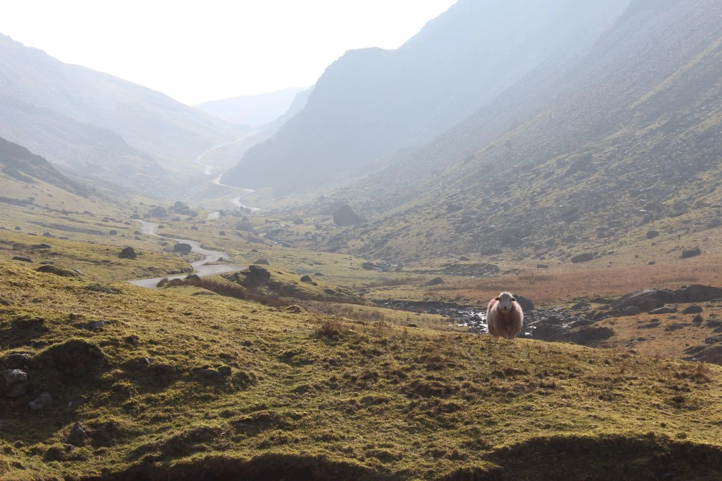 Nearby landmark in Invergarry Room Only Guest House For Adults