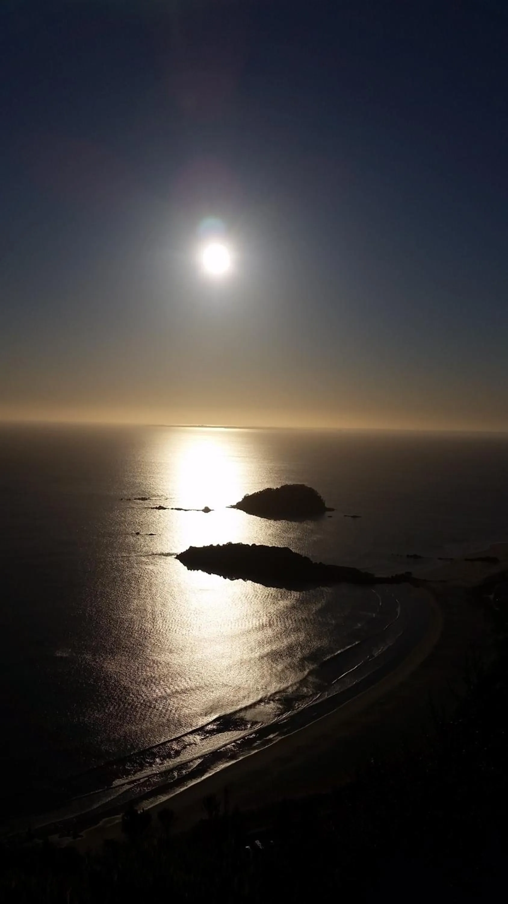 Beach in Botanical Haven