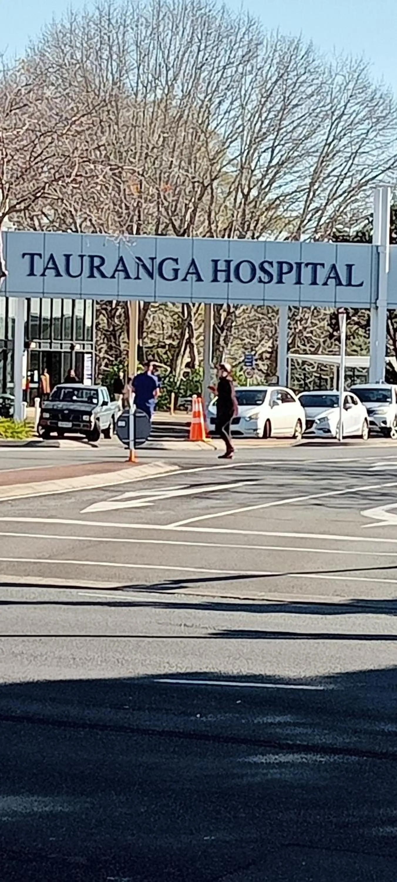 Text overlay in Botanical Haven