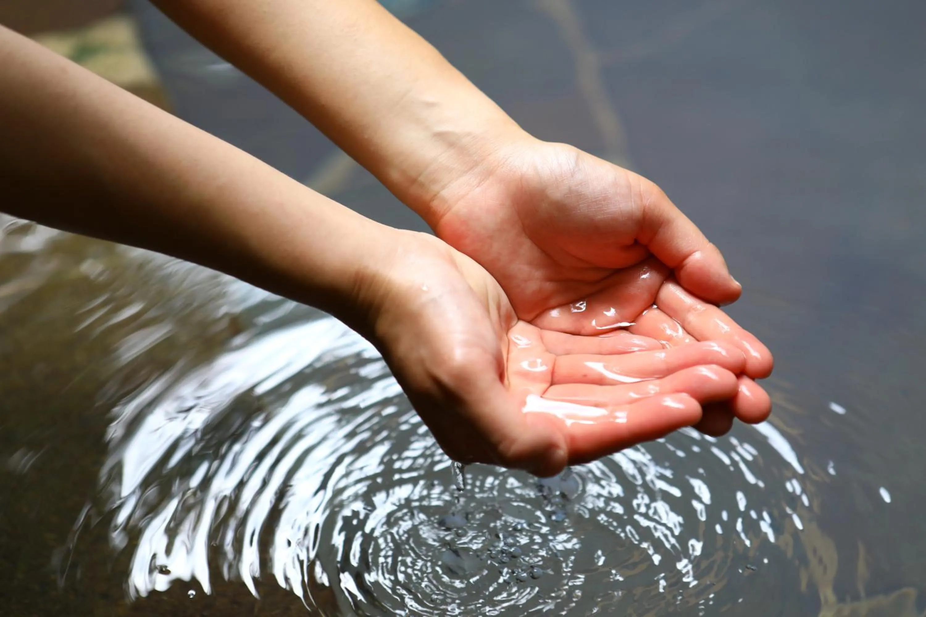 Besshoonsen Nanjyo Ryokan