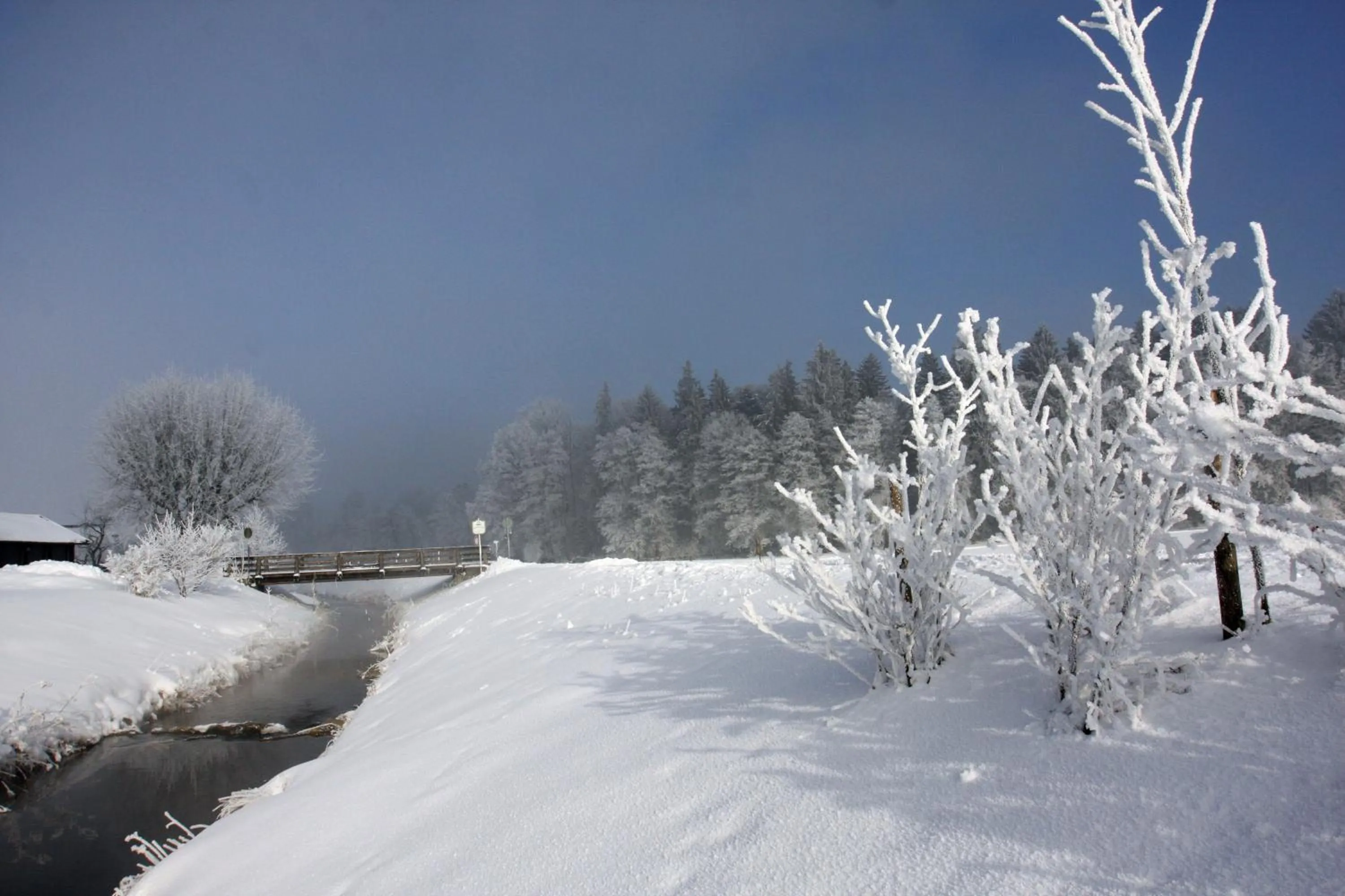 Natural landscape in Farbinger Hof