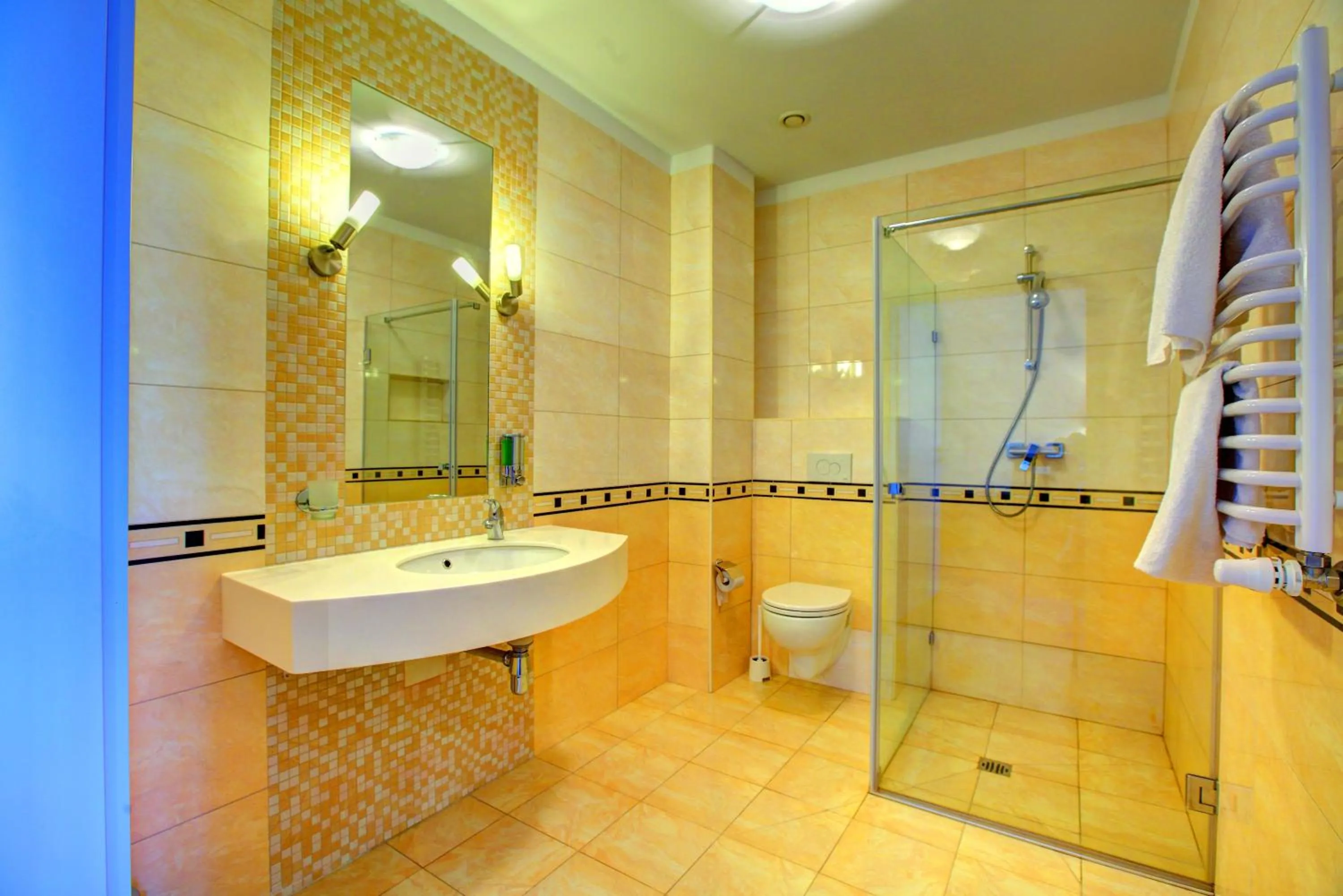 Shower in Hostel Evotel