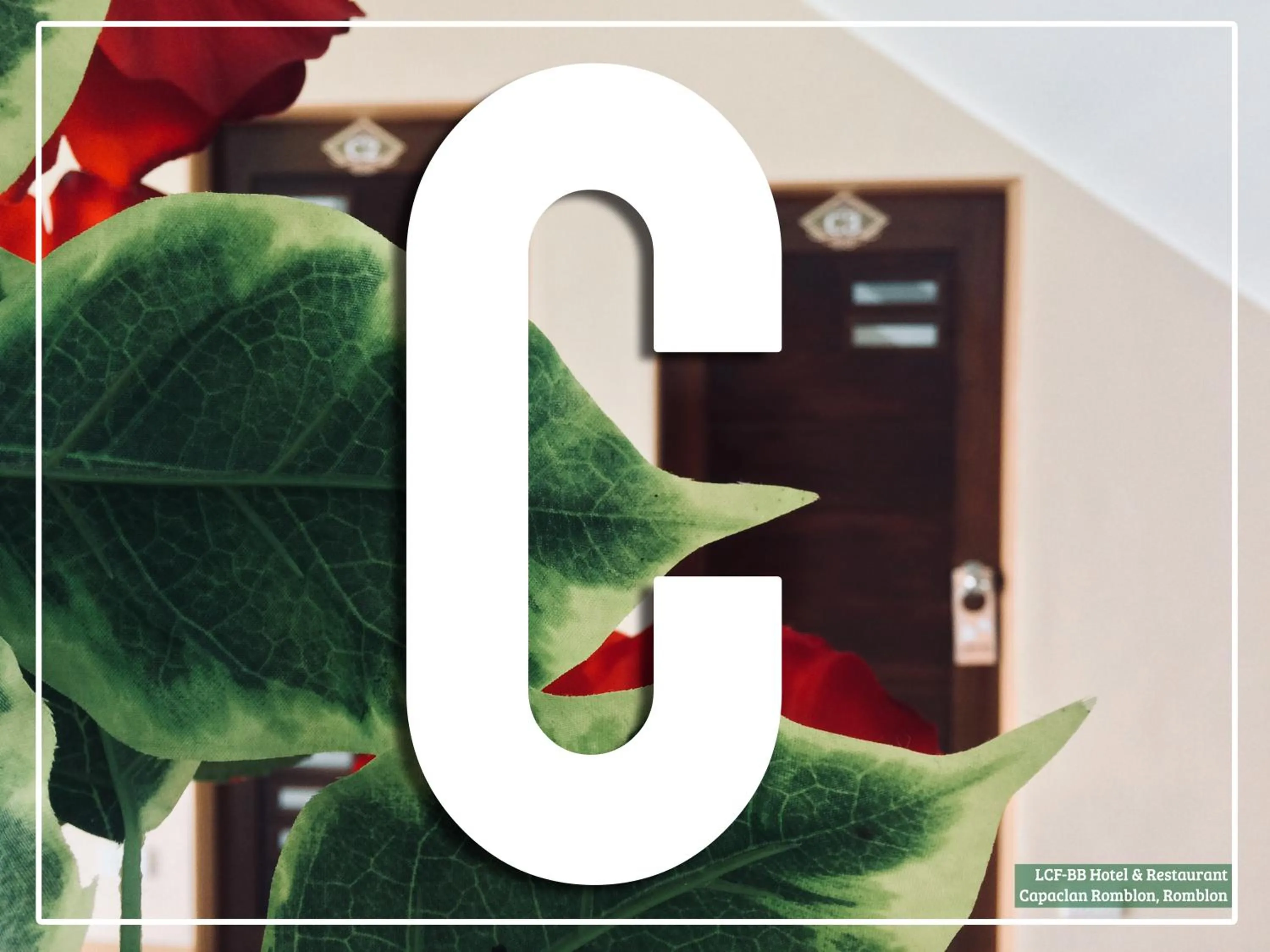 Area and facilities in LCF - BB Hotel