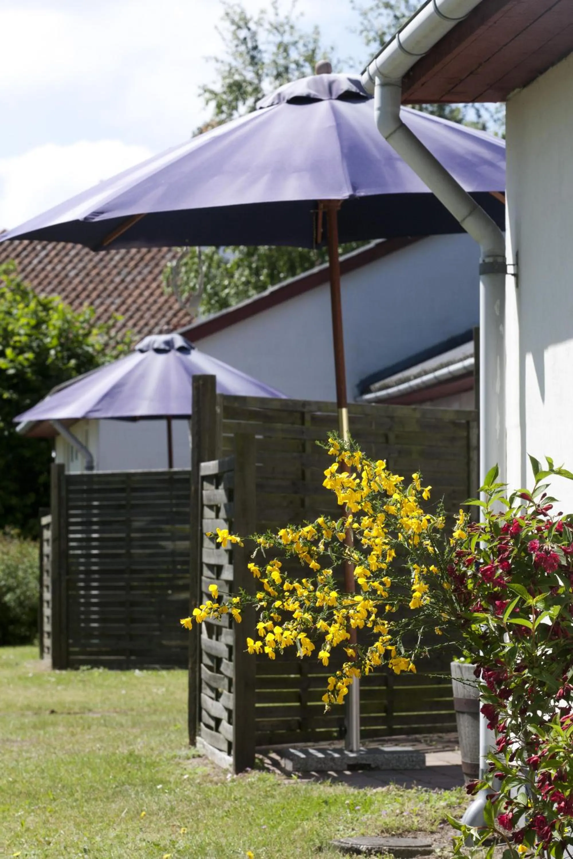 Summer in Rørvig Centret