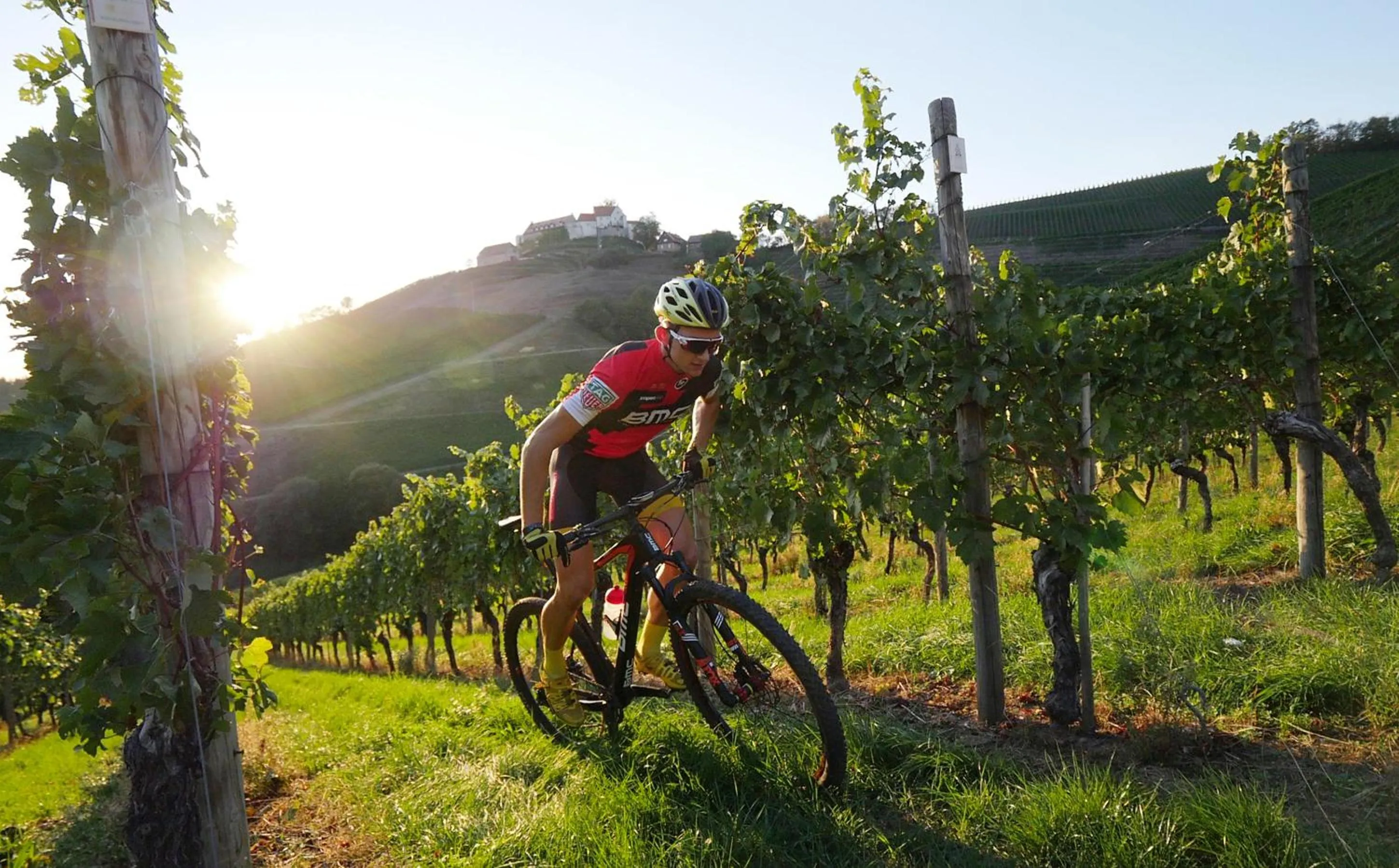 Cycling in Hotel Rebstock Durbach