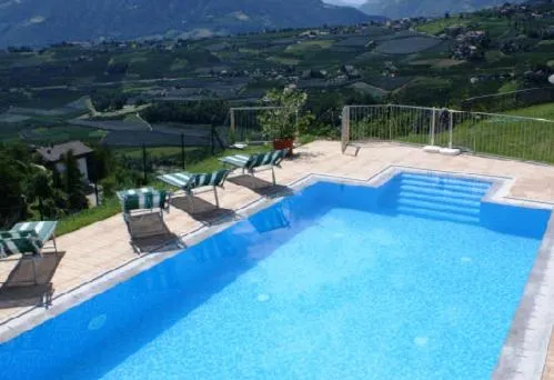 Swimming pool in Residence Fiegl