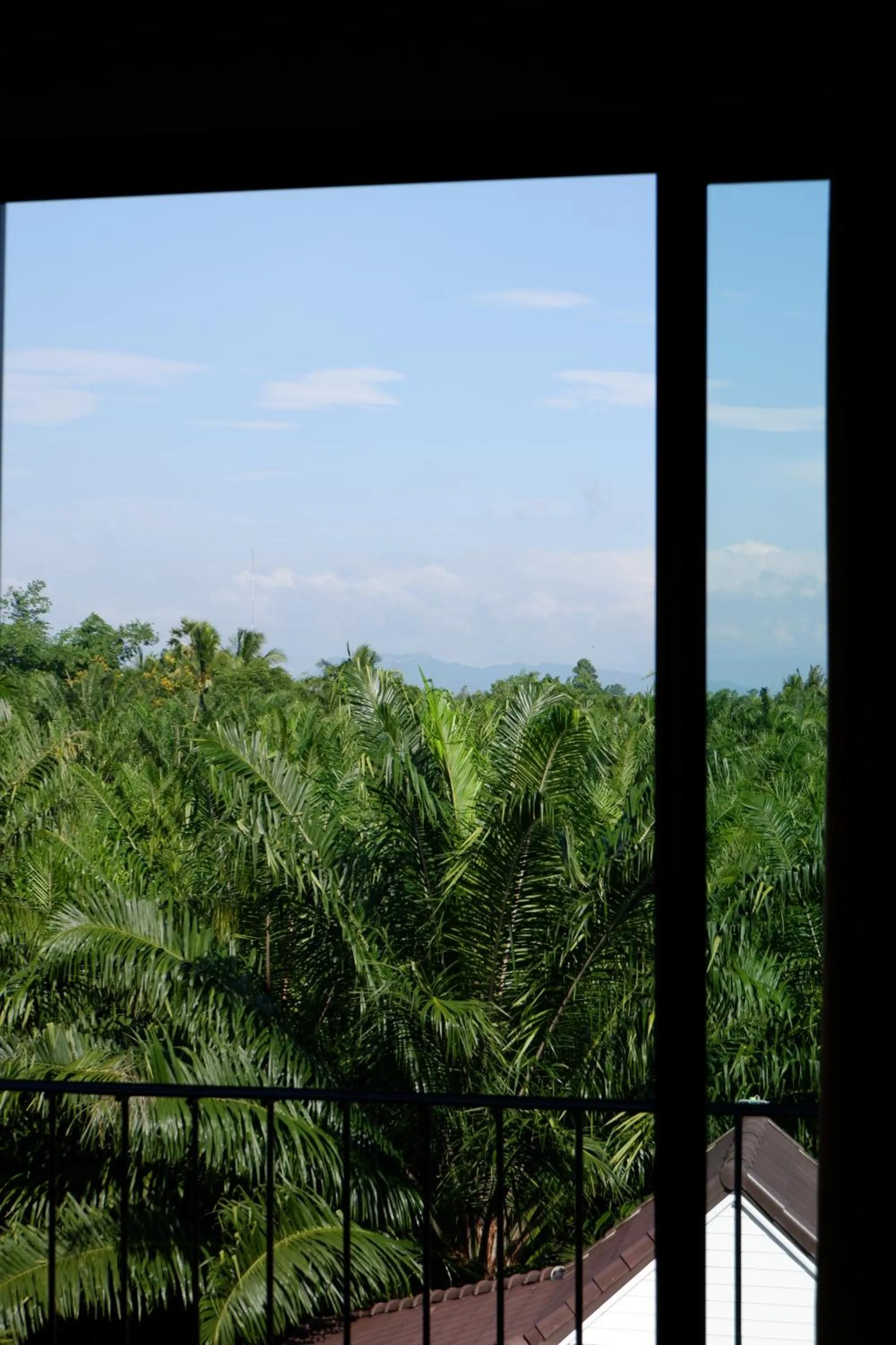 Mountain view in Black Elephant Boutique