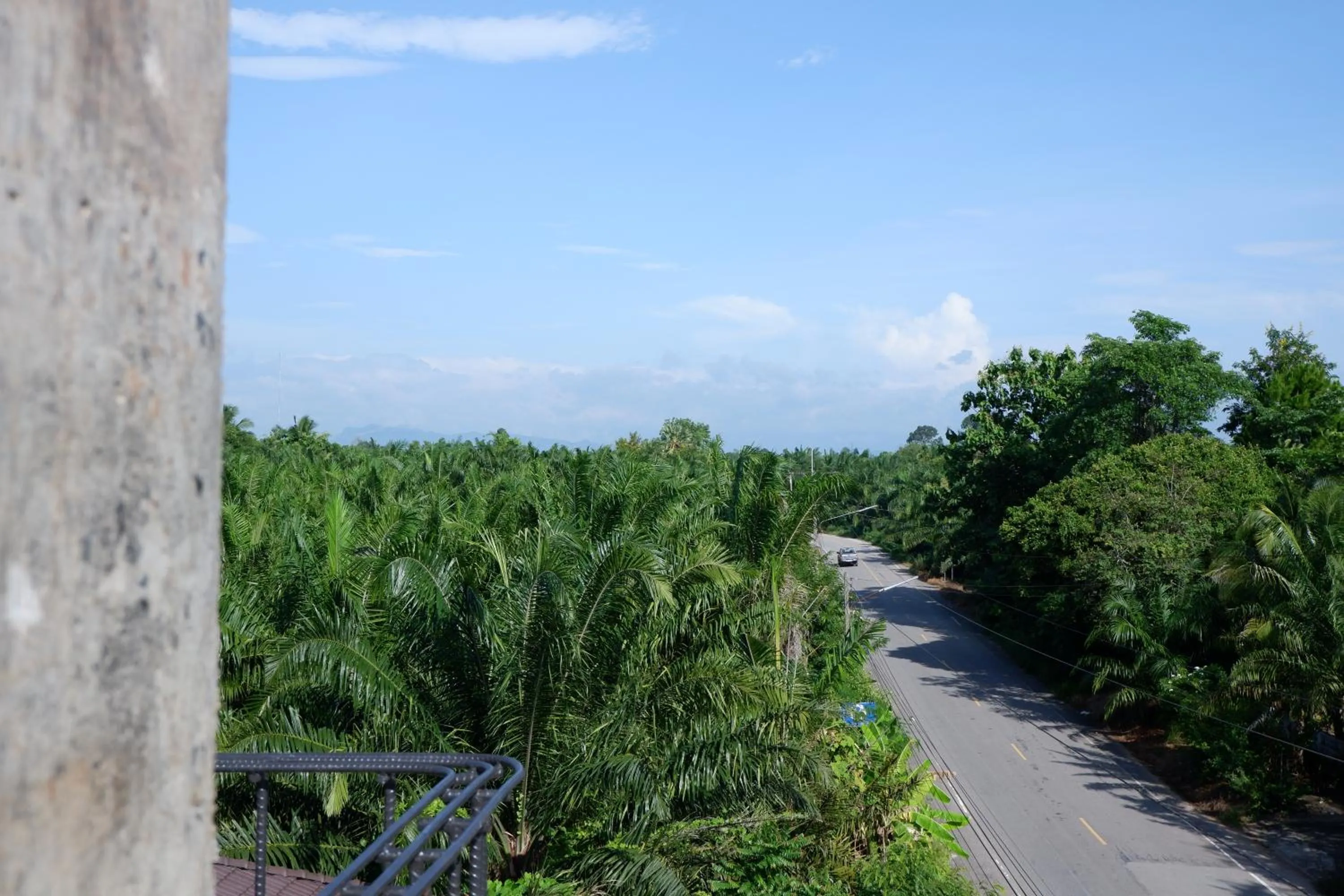 Property building in Black Elephant Boutique