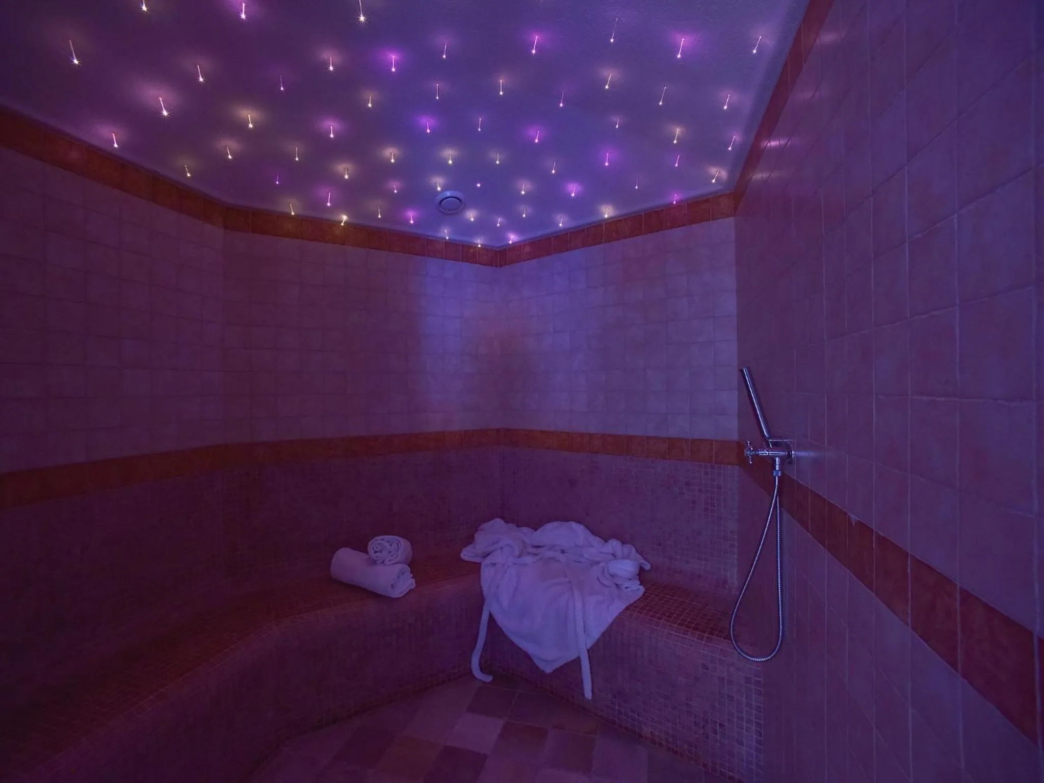 Sauna in Residence Salvan