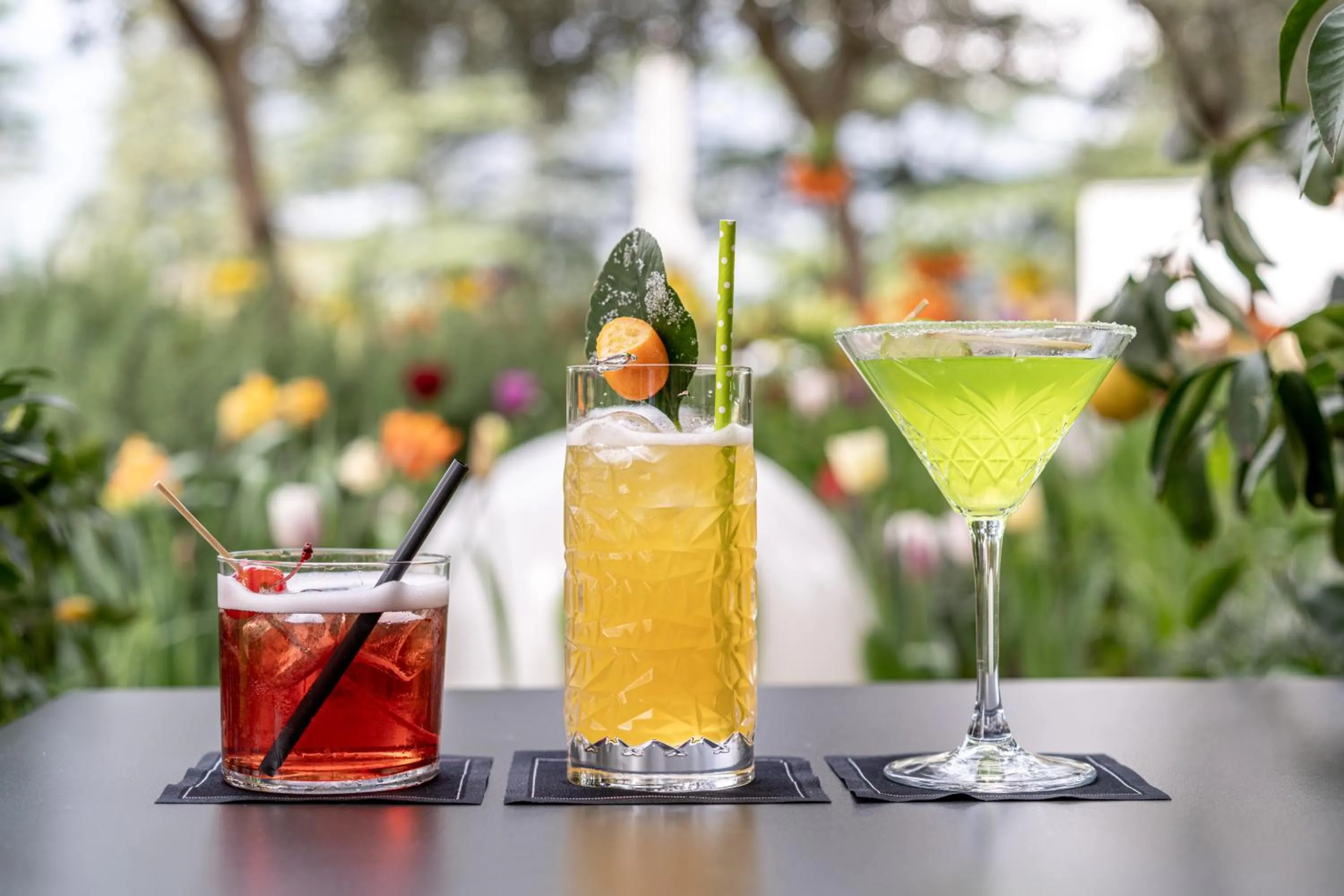 Lounge or bar in Hotel Mignon Meran Park & Spa
