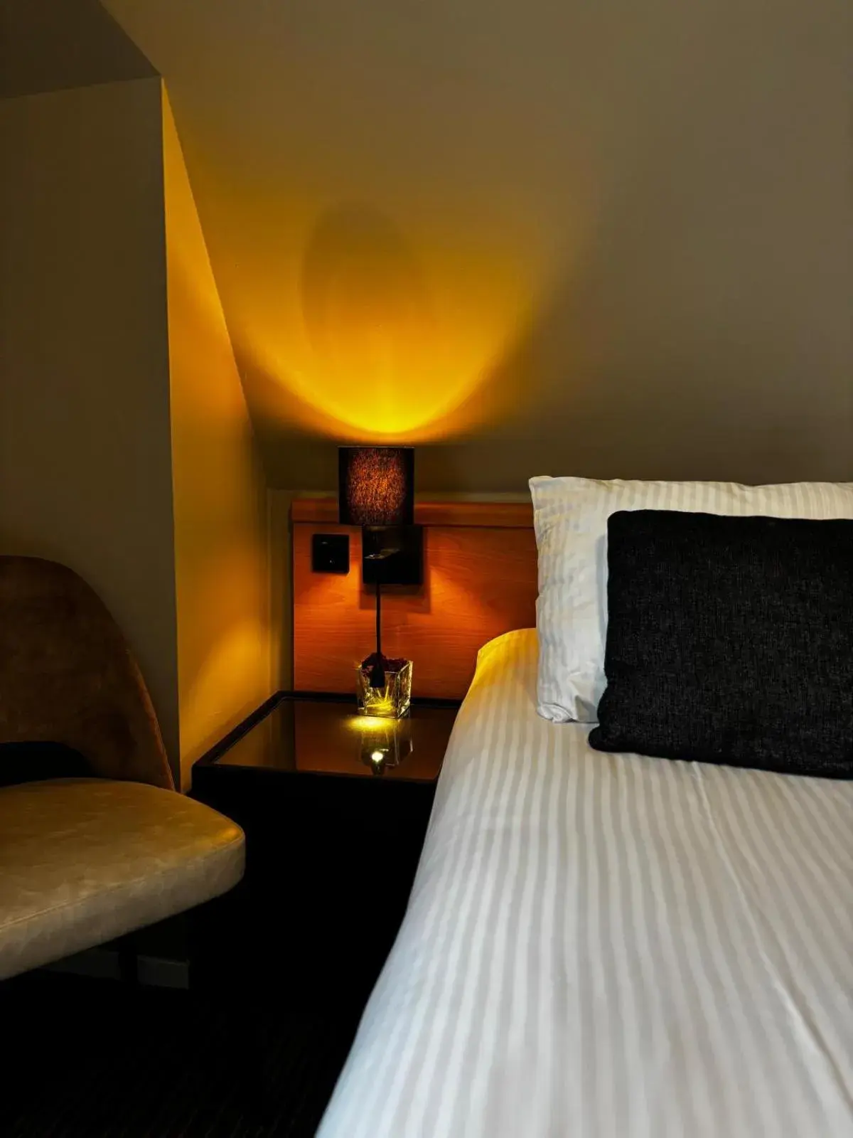 Twin Room - single occupancy in De Gouden Molen Twin Room - single occupancy in De Gouden Molen