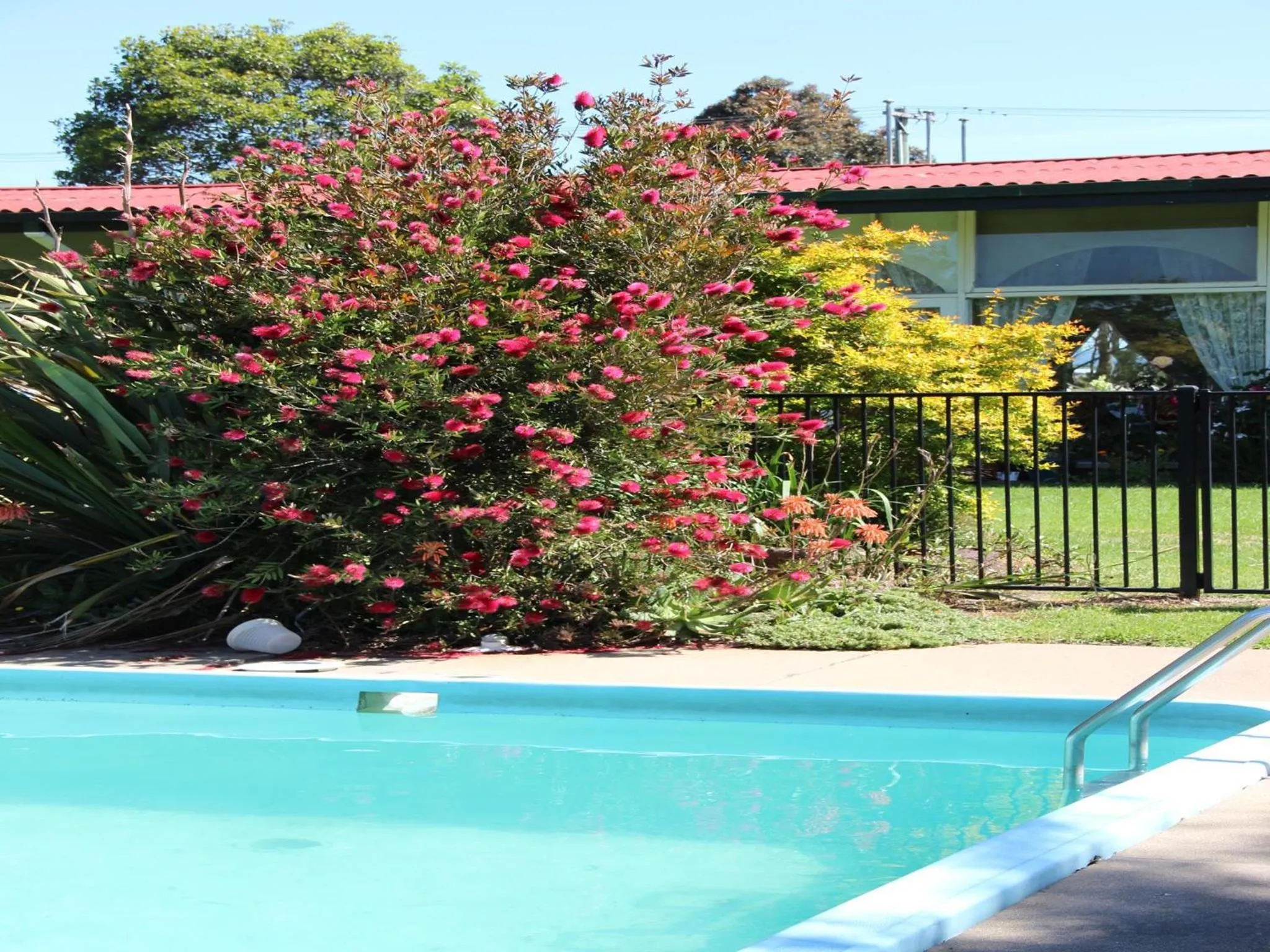 Swimming pool in The Wurruk Motel