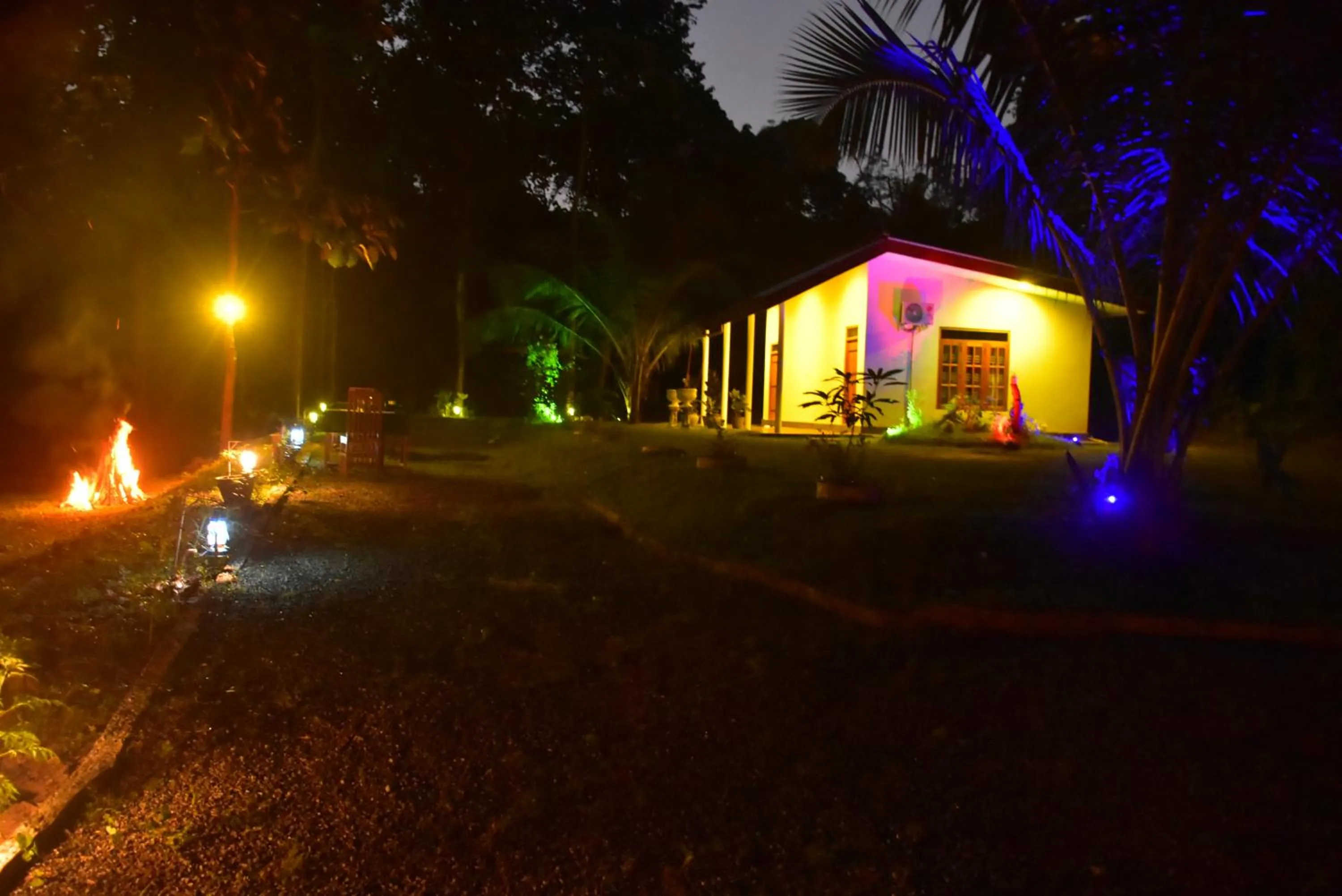 Garden in Little Ele Safari Lodge