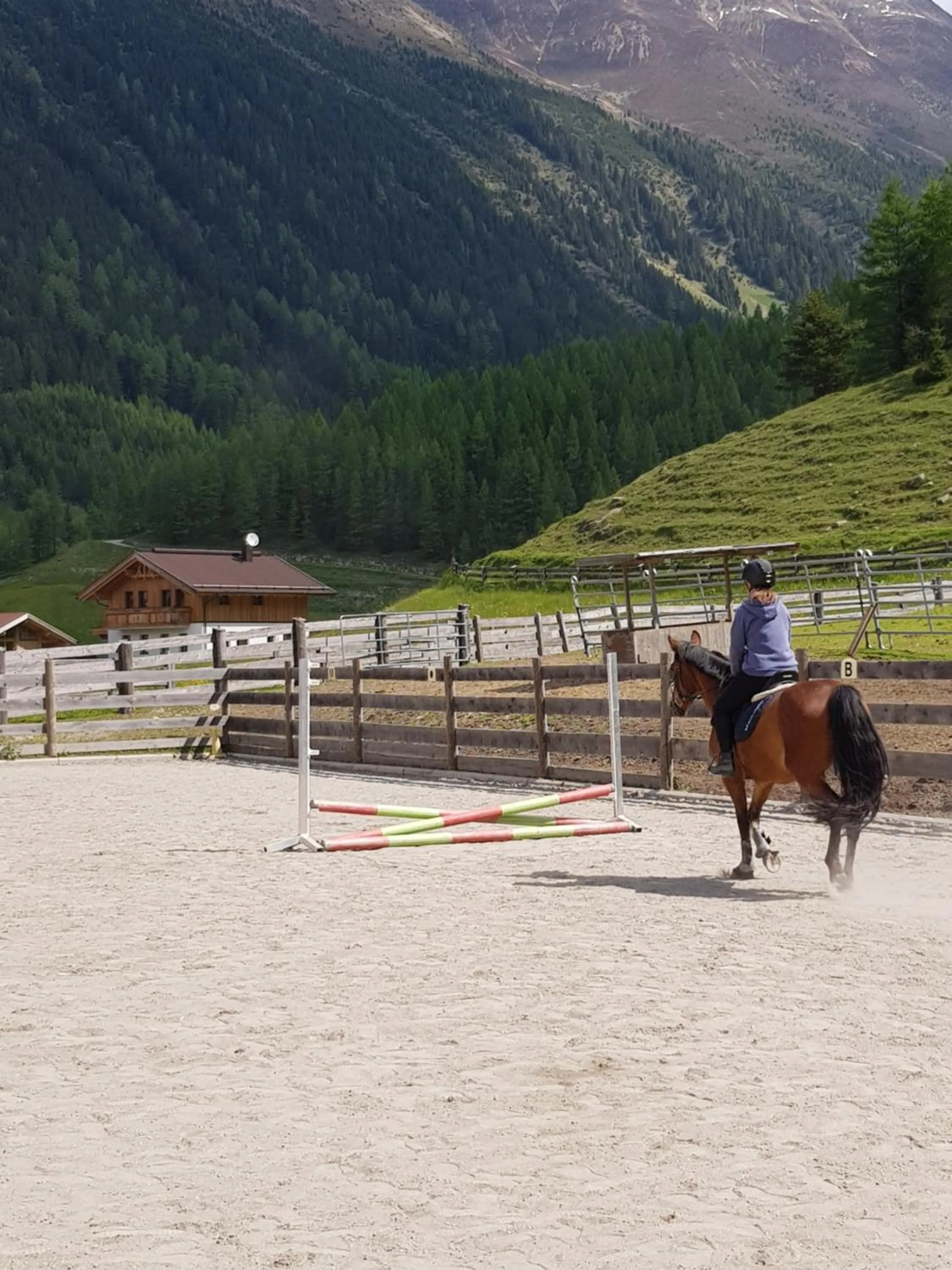 Pets in Alpin Appart Reiterhof