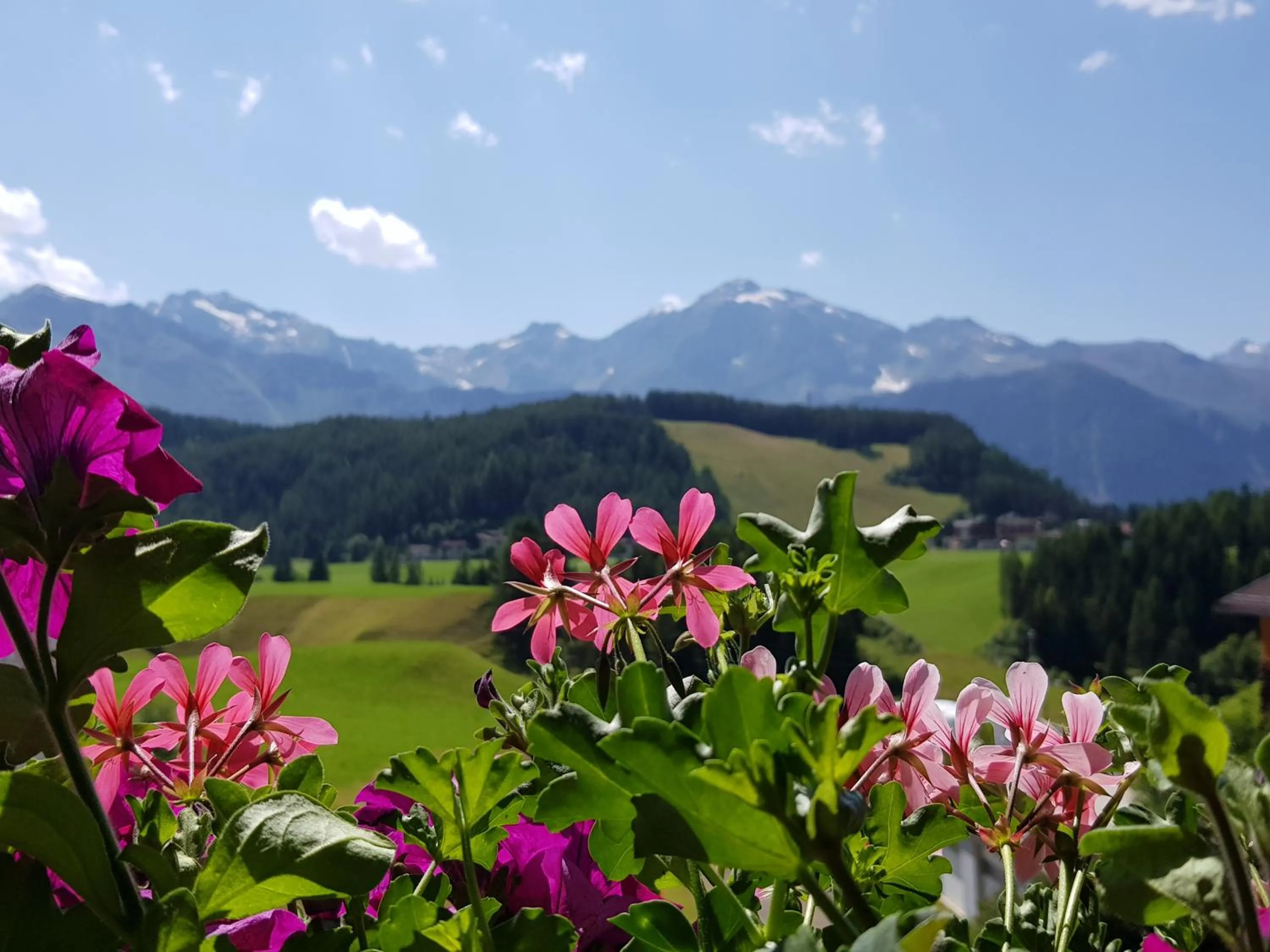 View (from property/room) in Alpin Appart Reiterhof