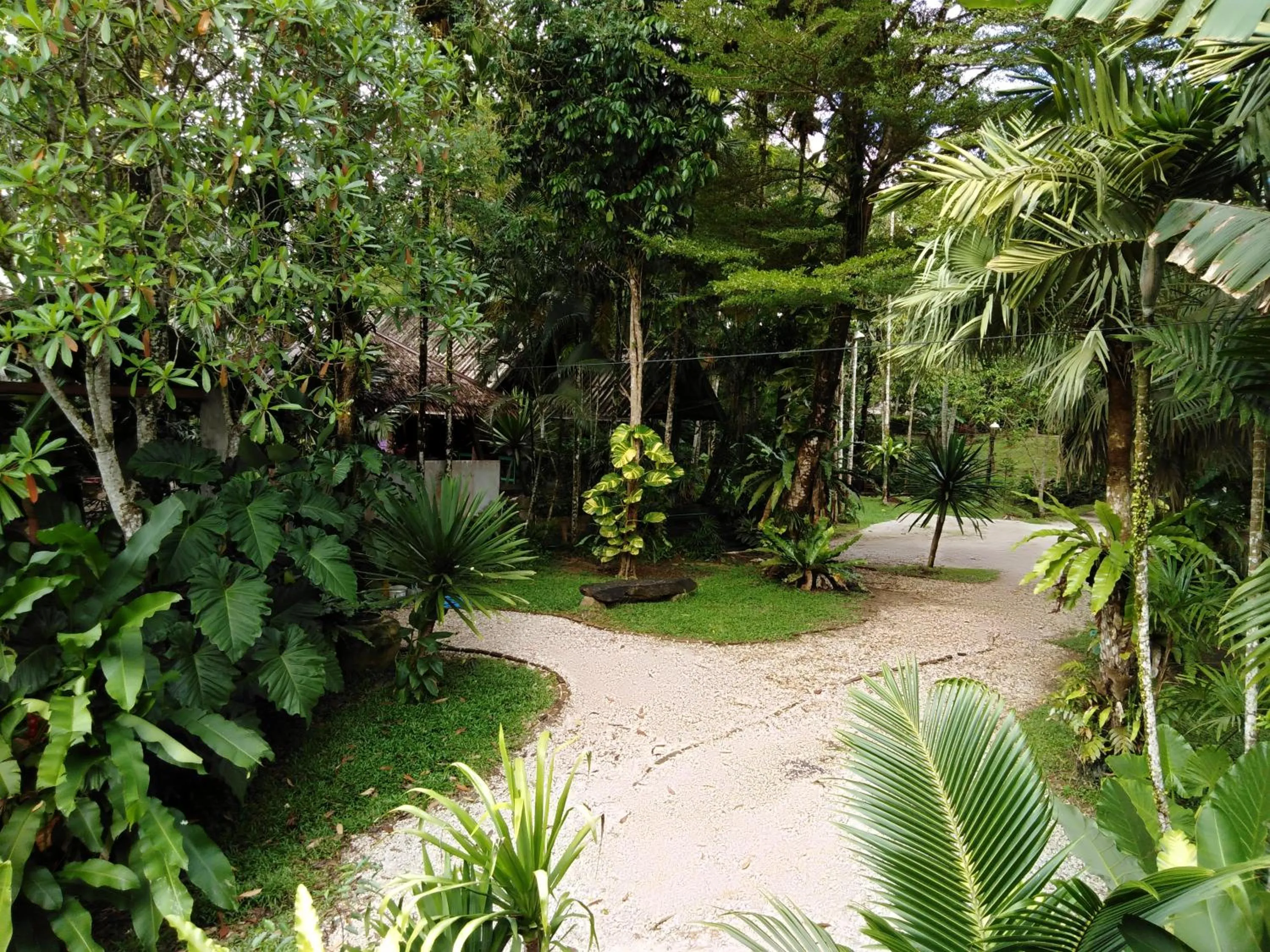 Garden view in Khaosok River Camp