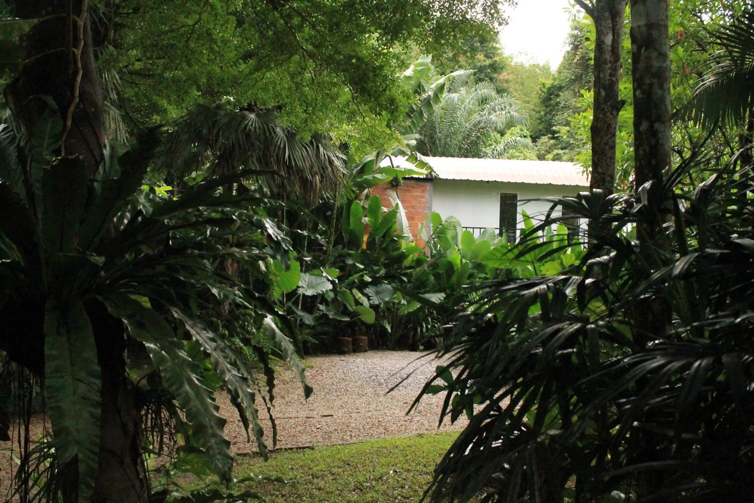 Garden in Khaosok River Camp