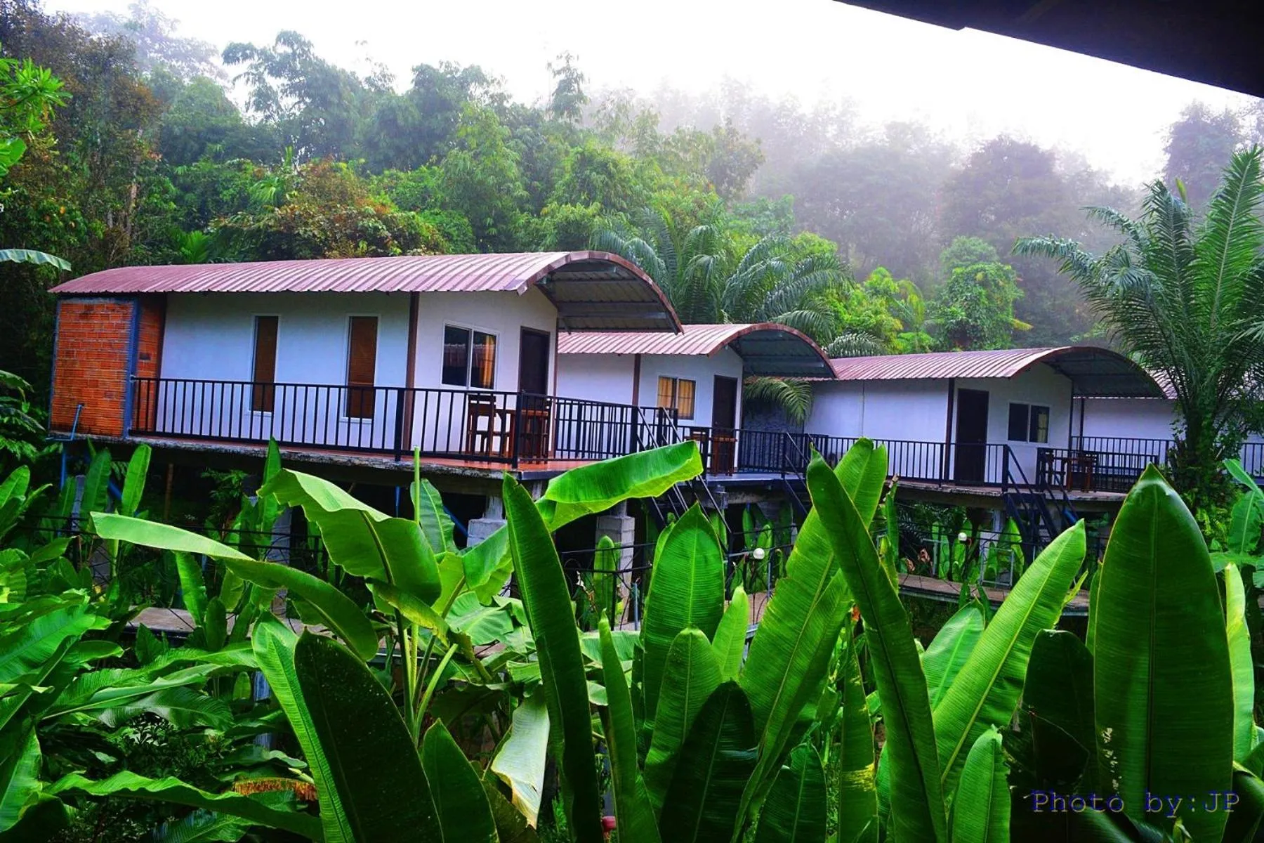 Property building in Khaosok River Camp