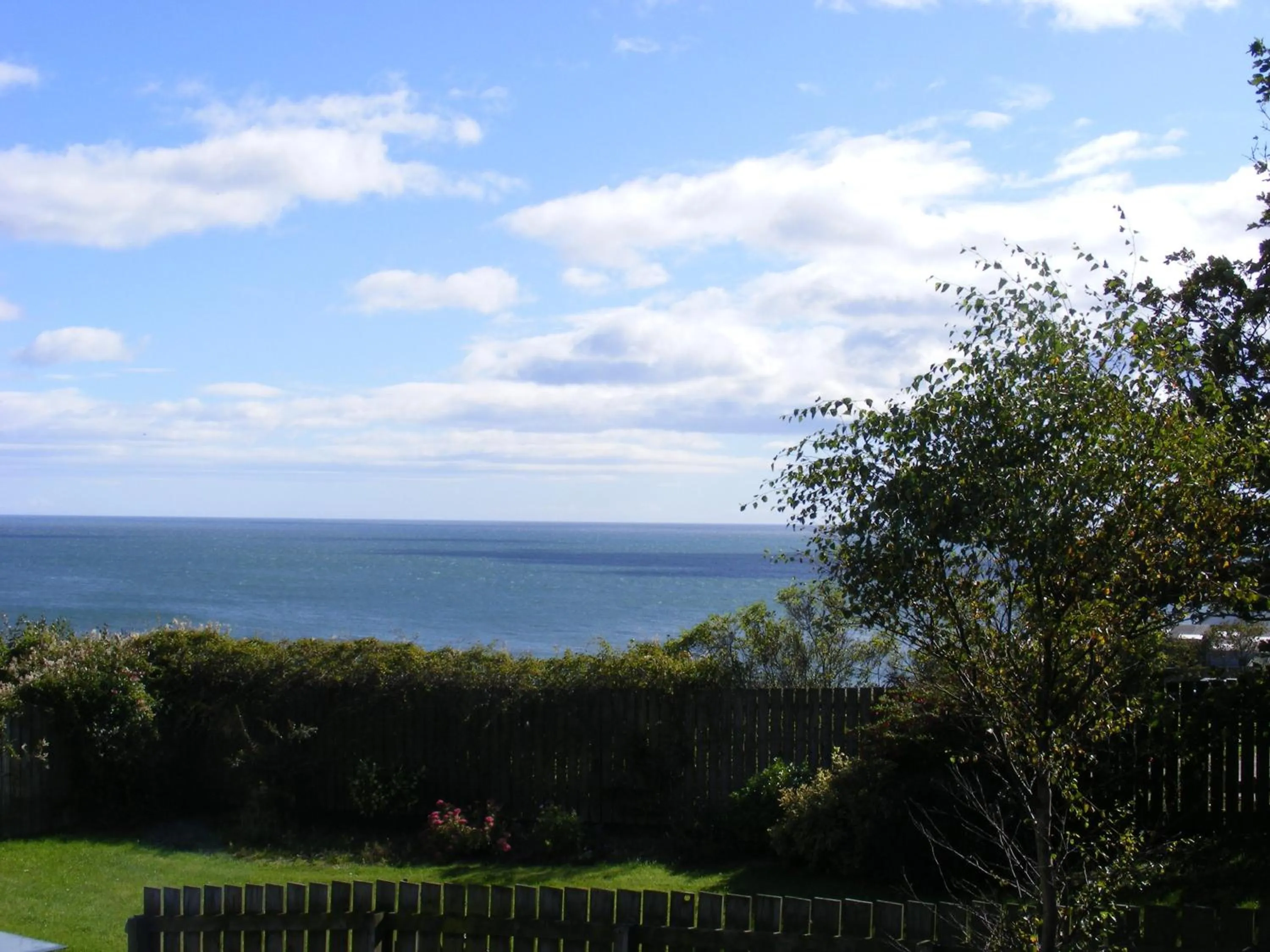 Area and facilities in Cove Bay Hotel