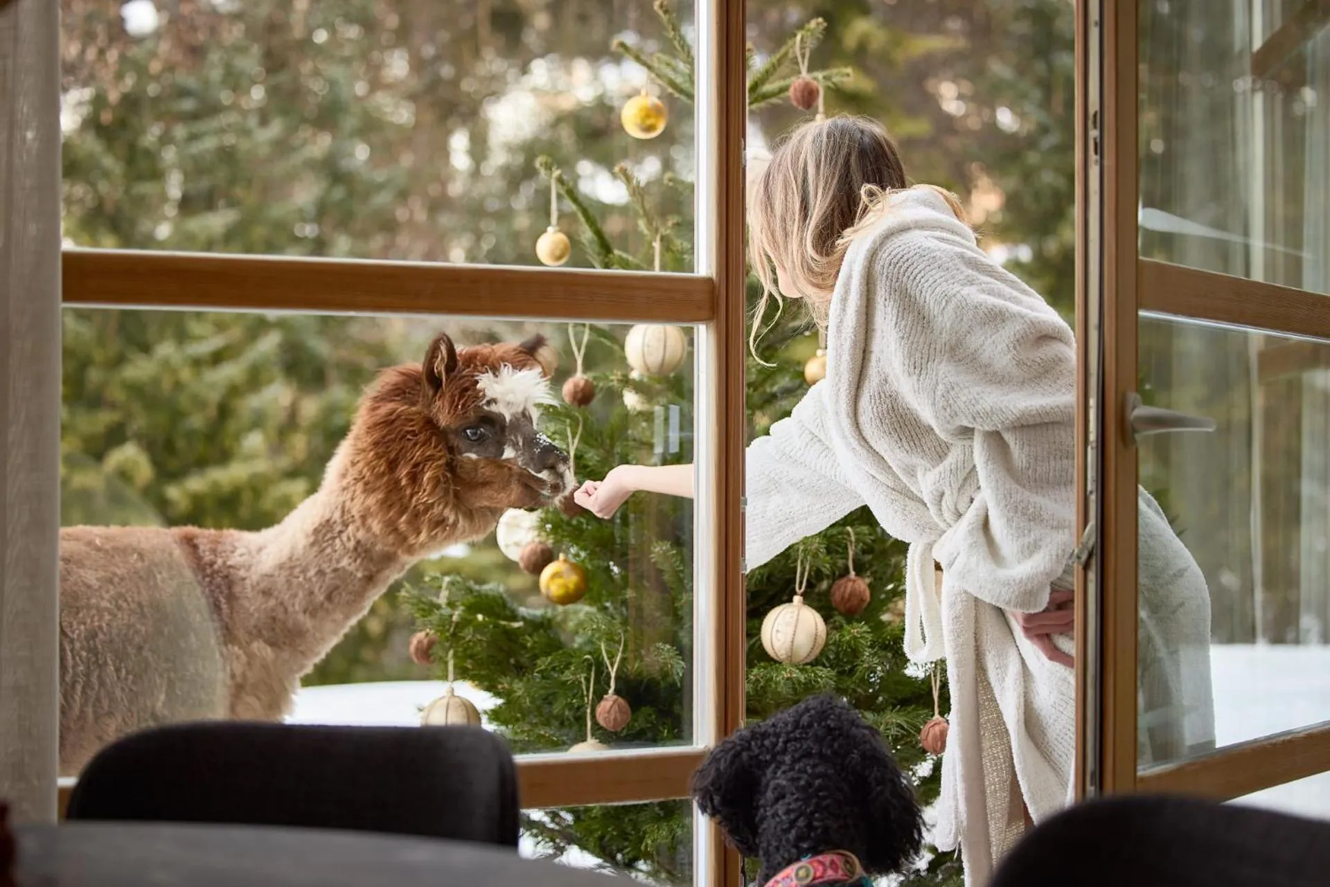 Living room in Appartamenti La Sajun & Les Viles