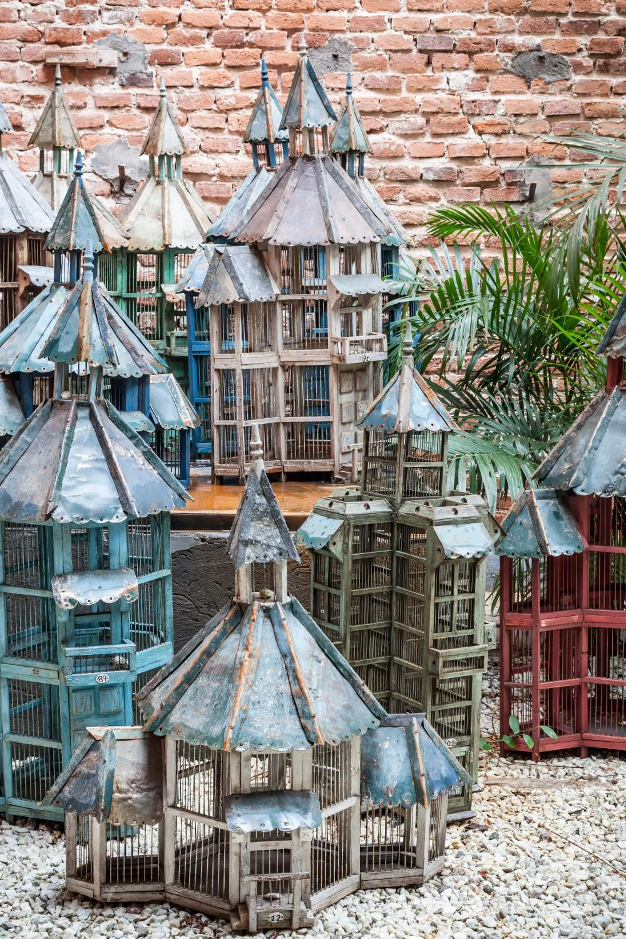 Garden view in La Alondra, Casa de huéspedes