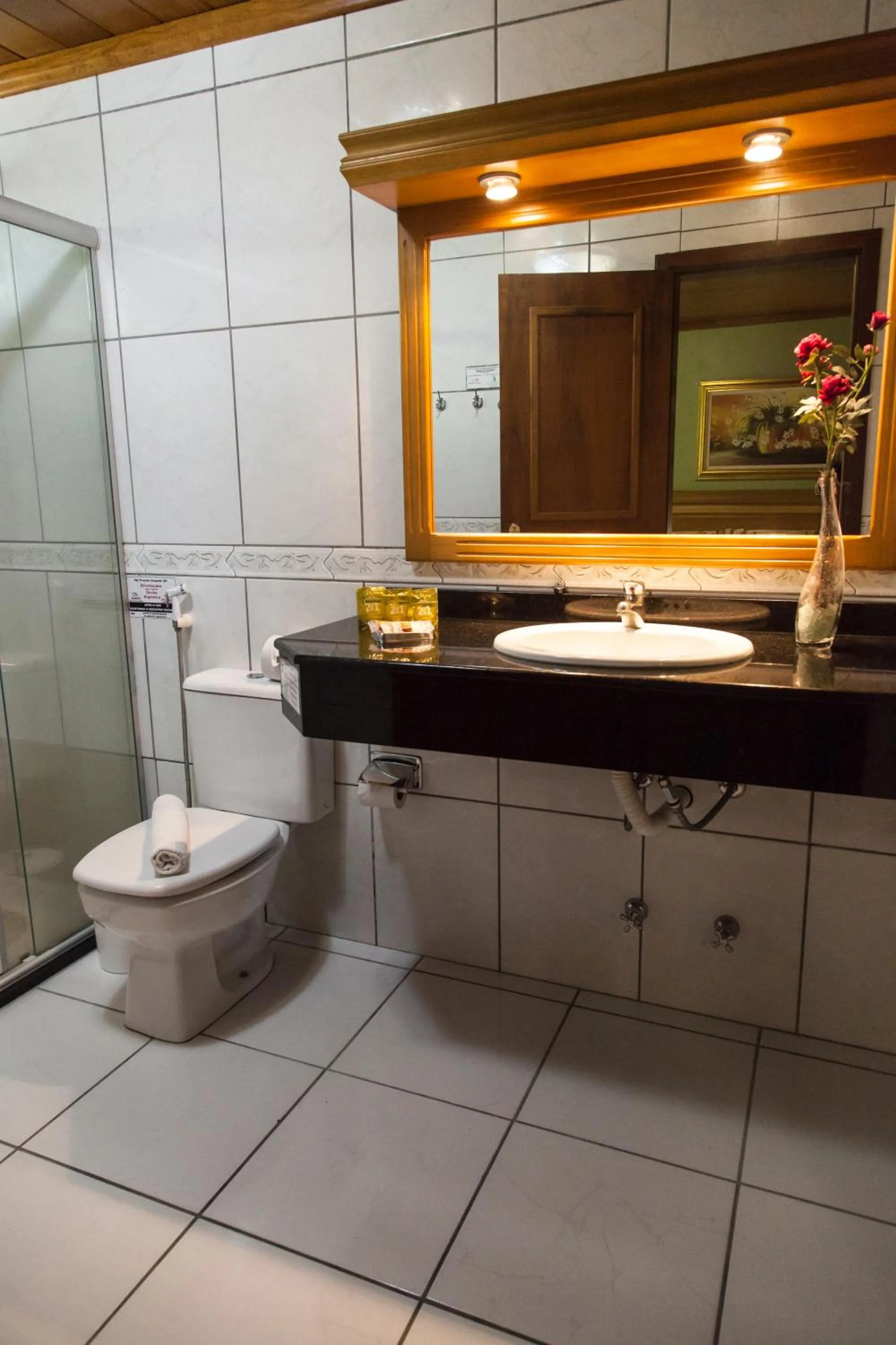 Bathroom in Pousada Águia Branca