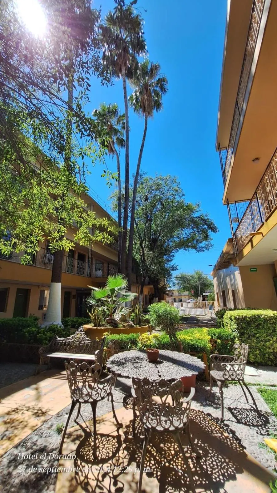 Garden in Hotel El Dorado