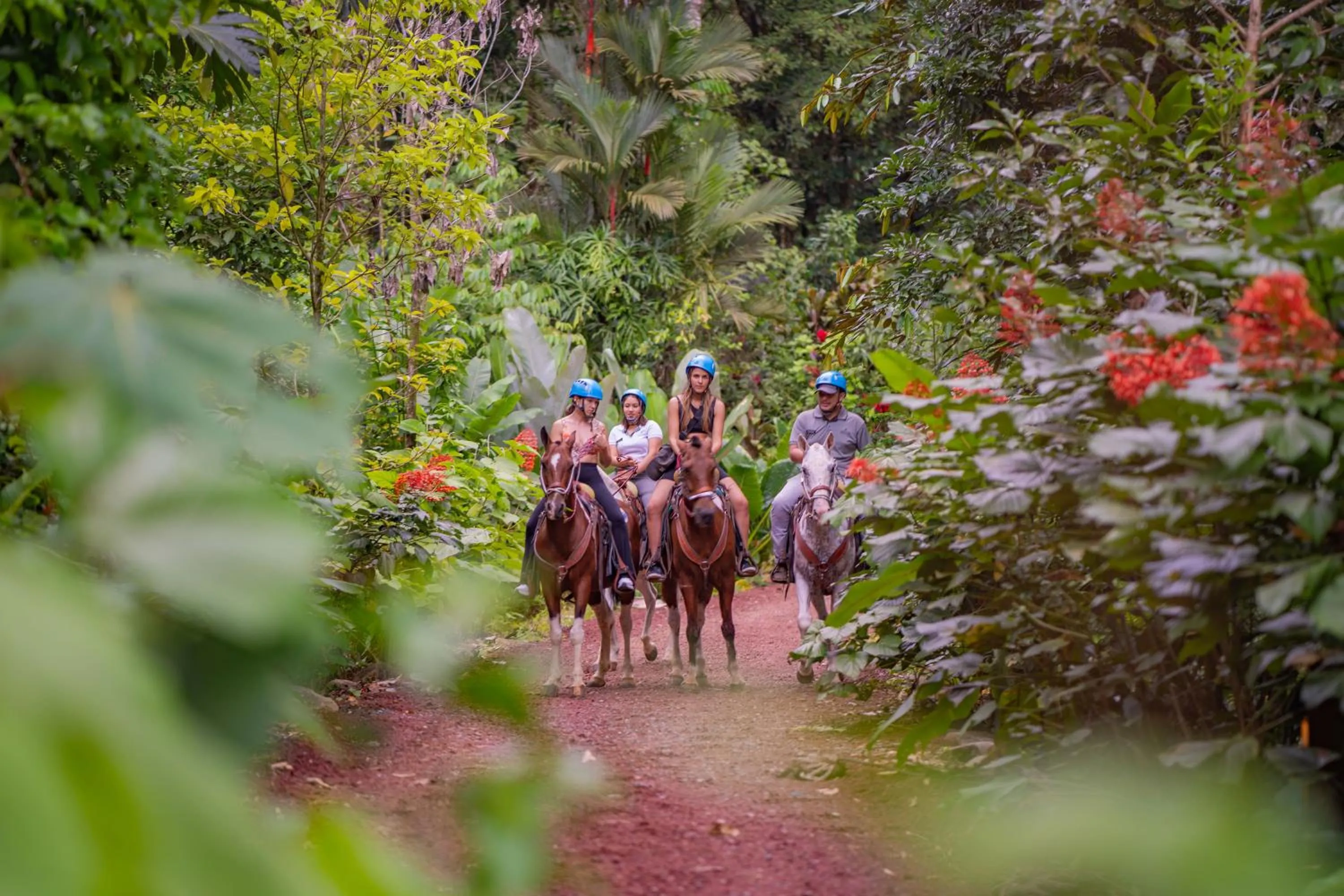 Horse-riding in Chachagua Rainforest Hotel & Hot Springs
