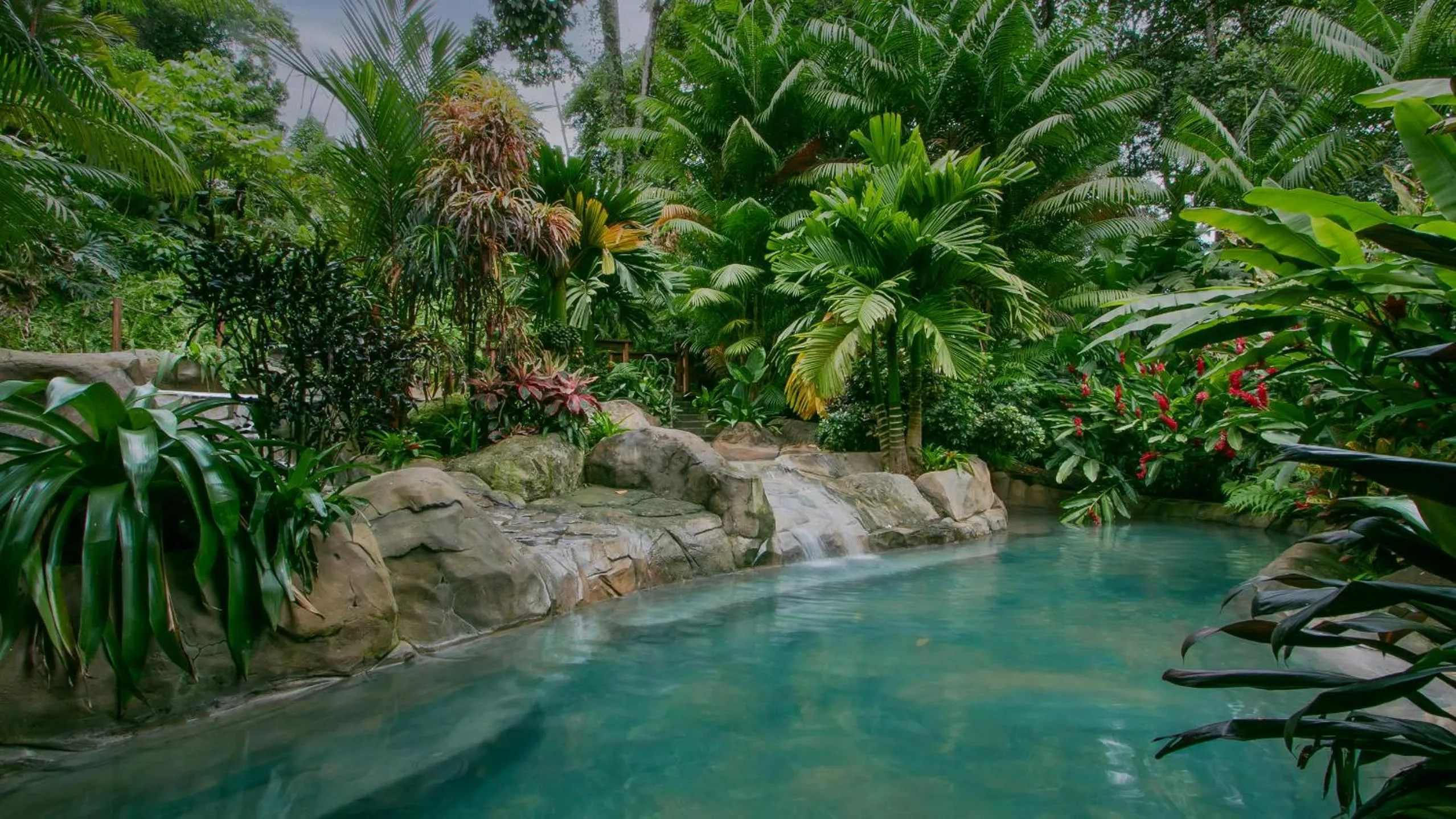 Garden in Chachagua Rainforest Hotel & Hot Springs