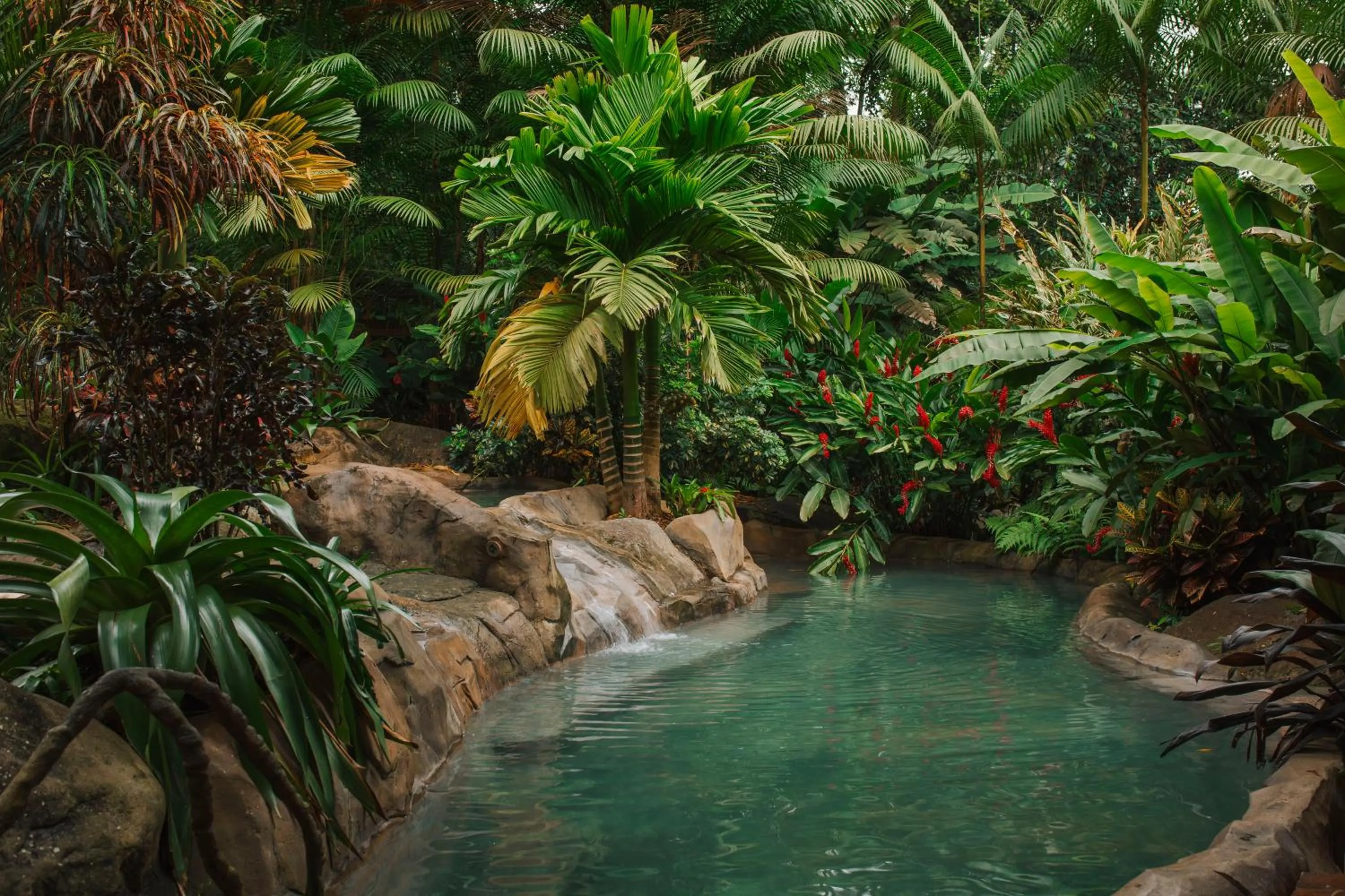 Natural landscape in Chachagua Rainforest Hotel & Hot Springs