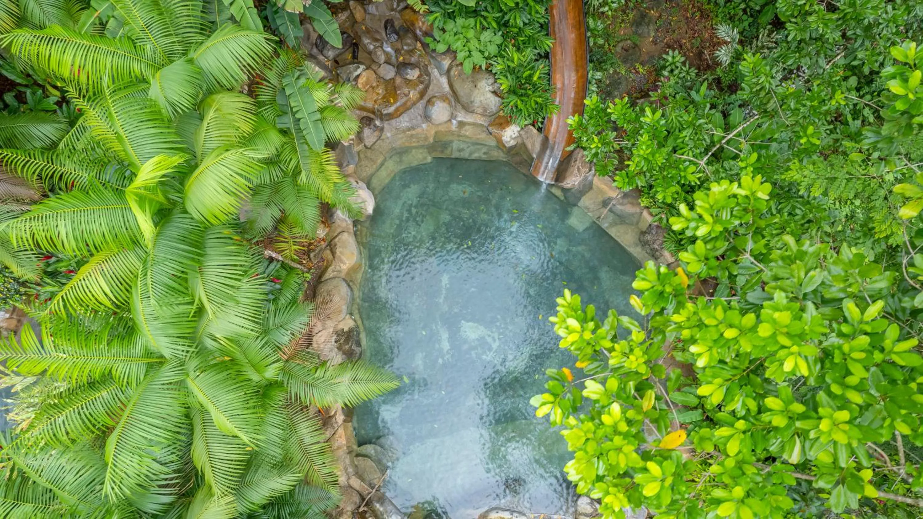 Bird's eye view in Chachagua Rainforest Hotel & Hot Springs
