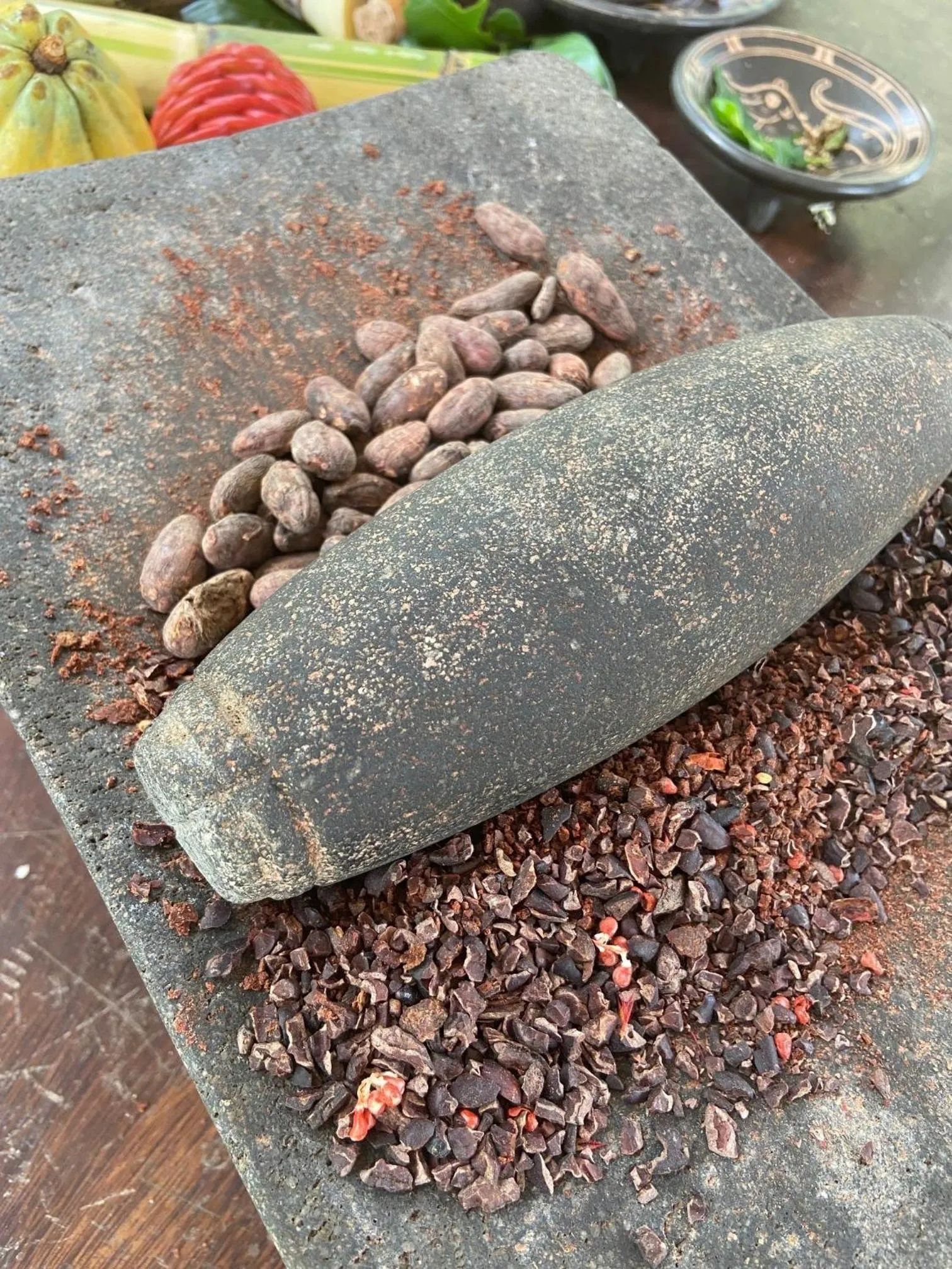 Activities in Chachagua Rainforest Hotel & Hot Springs