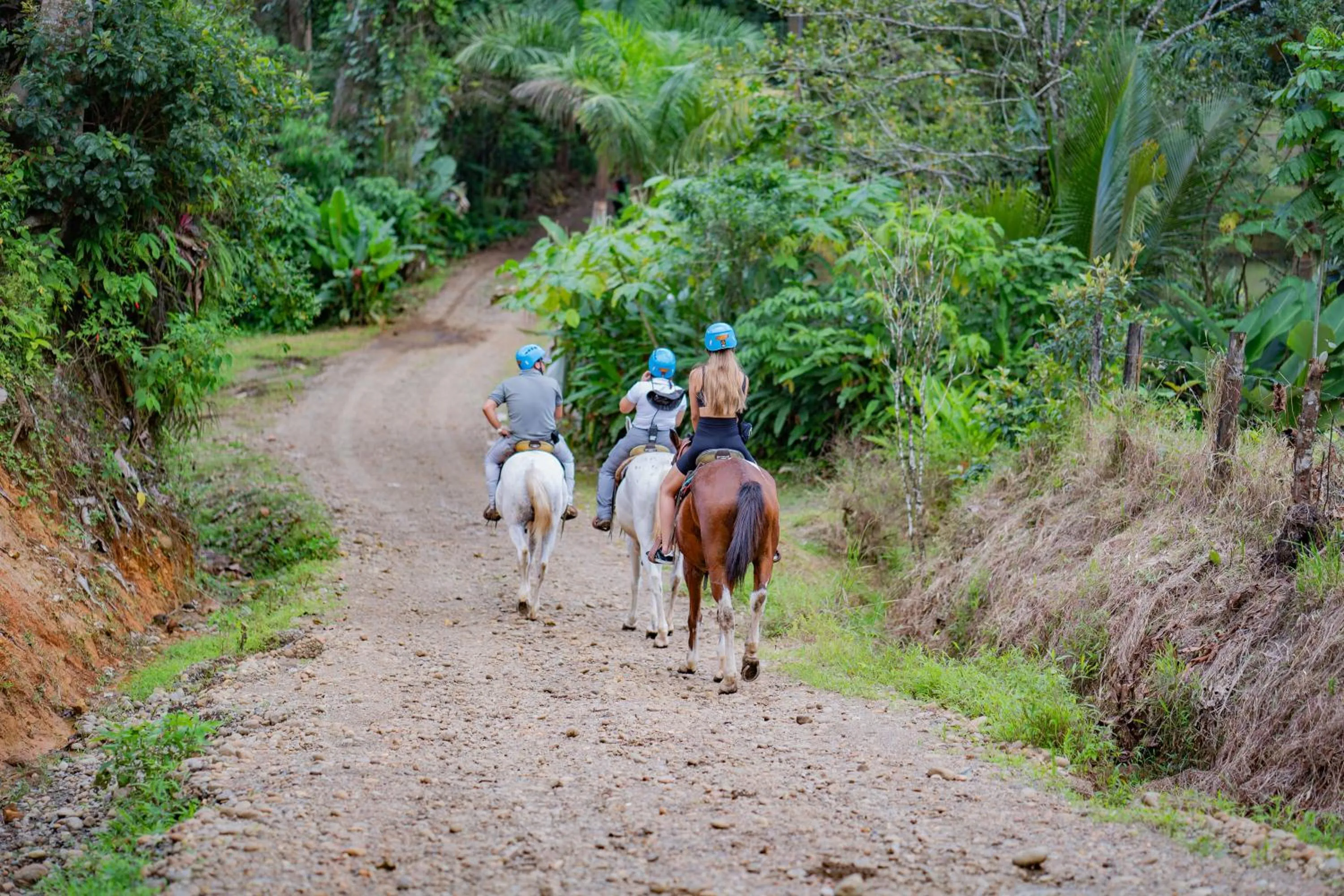 Horse-riding in Chachagua Rainforest Hotel & Hot Springs