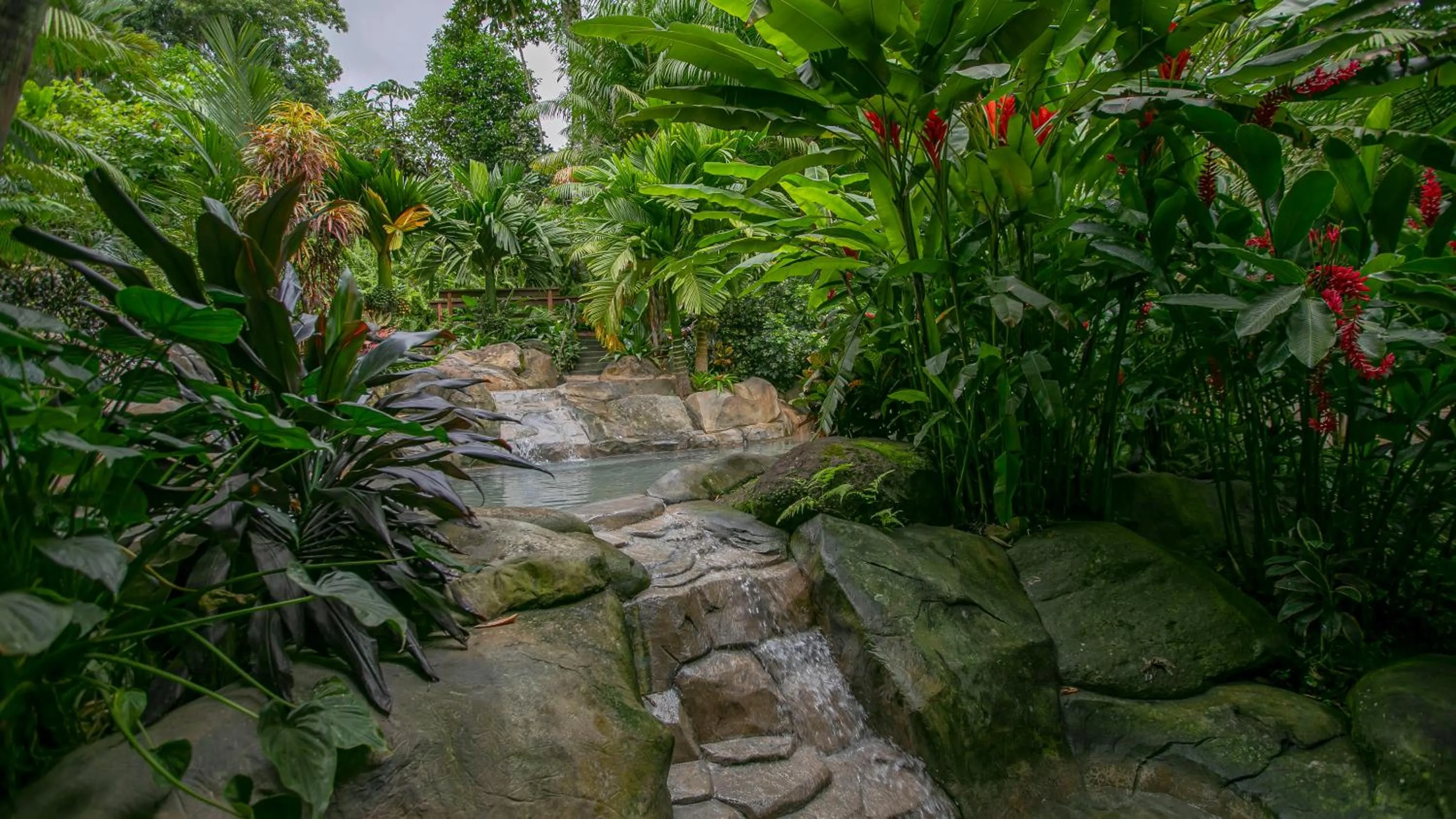 Garden in Chachagua Rainforest Hotel & Hot Springs