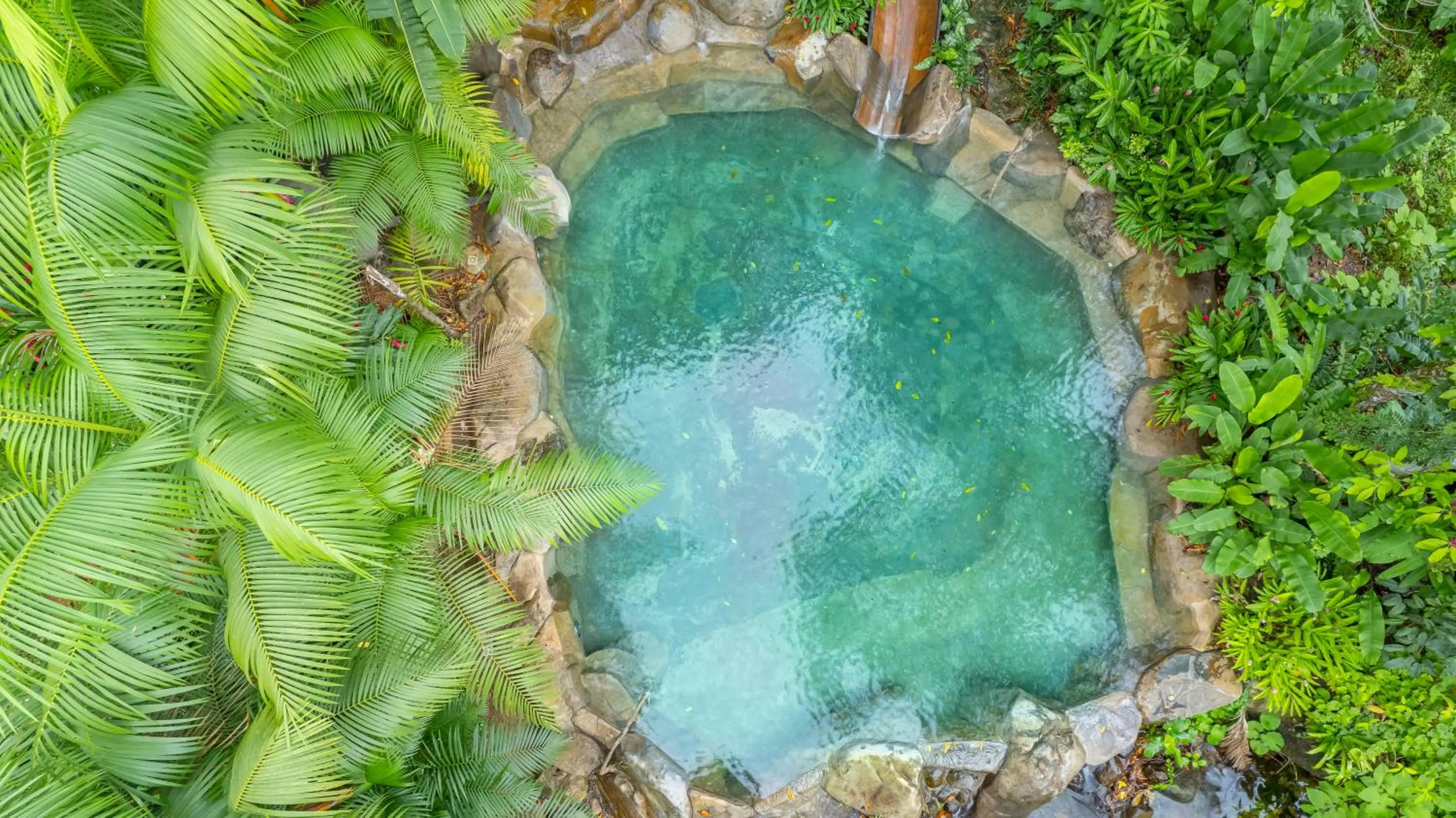 Swimming pool in Chachagua Rainforest Hotel & Hot Springs