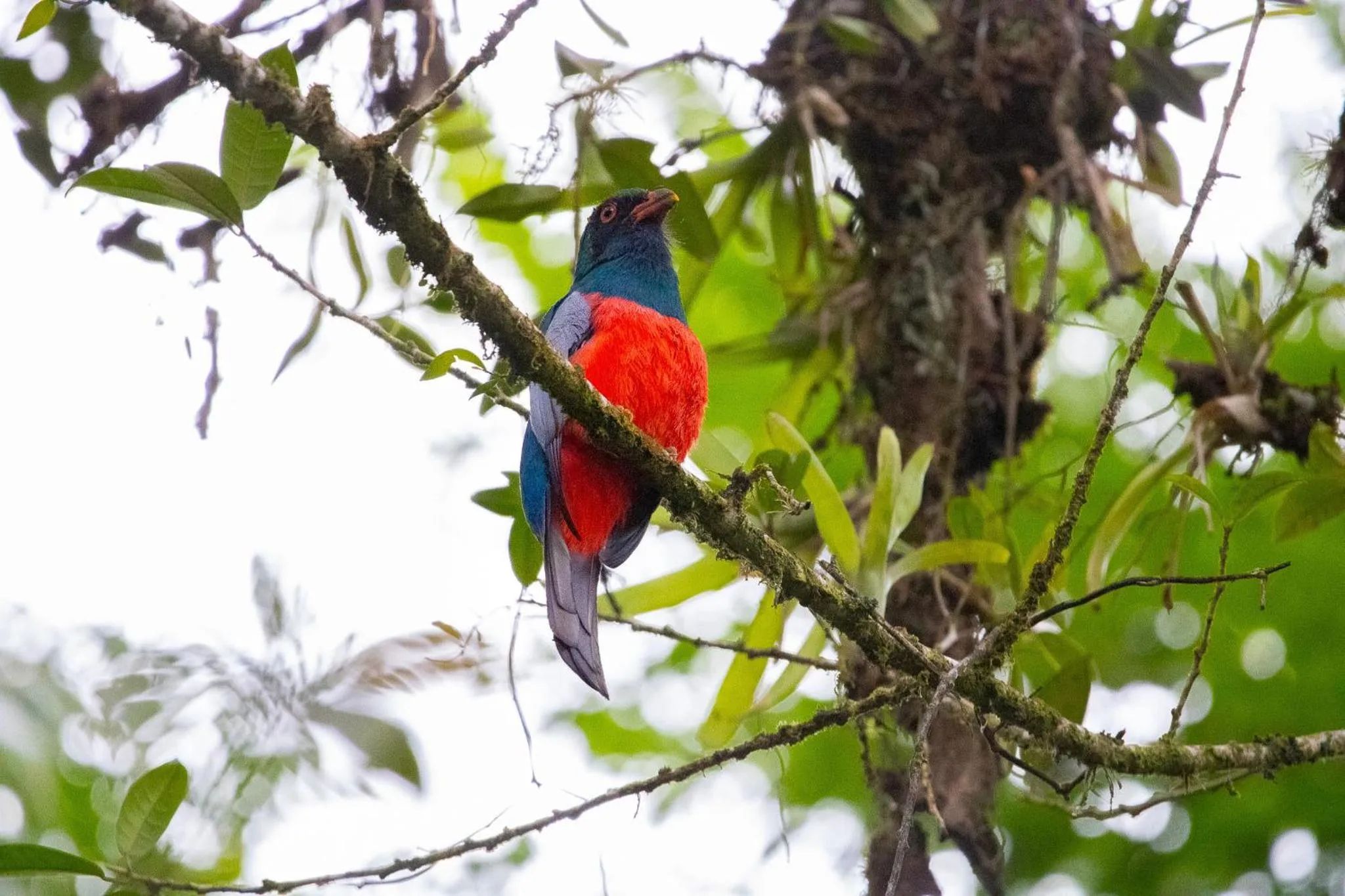 Day in Chachagua Rainforest Hotel & Hot Springs