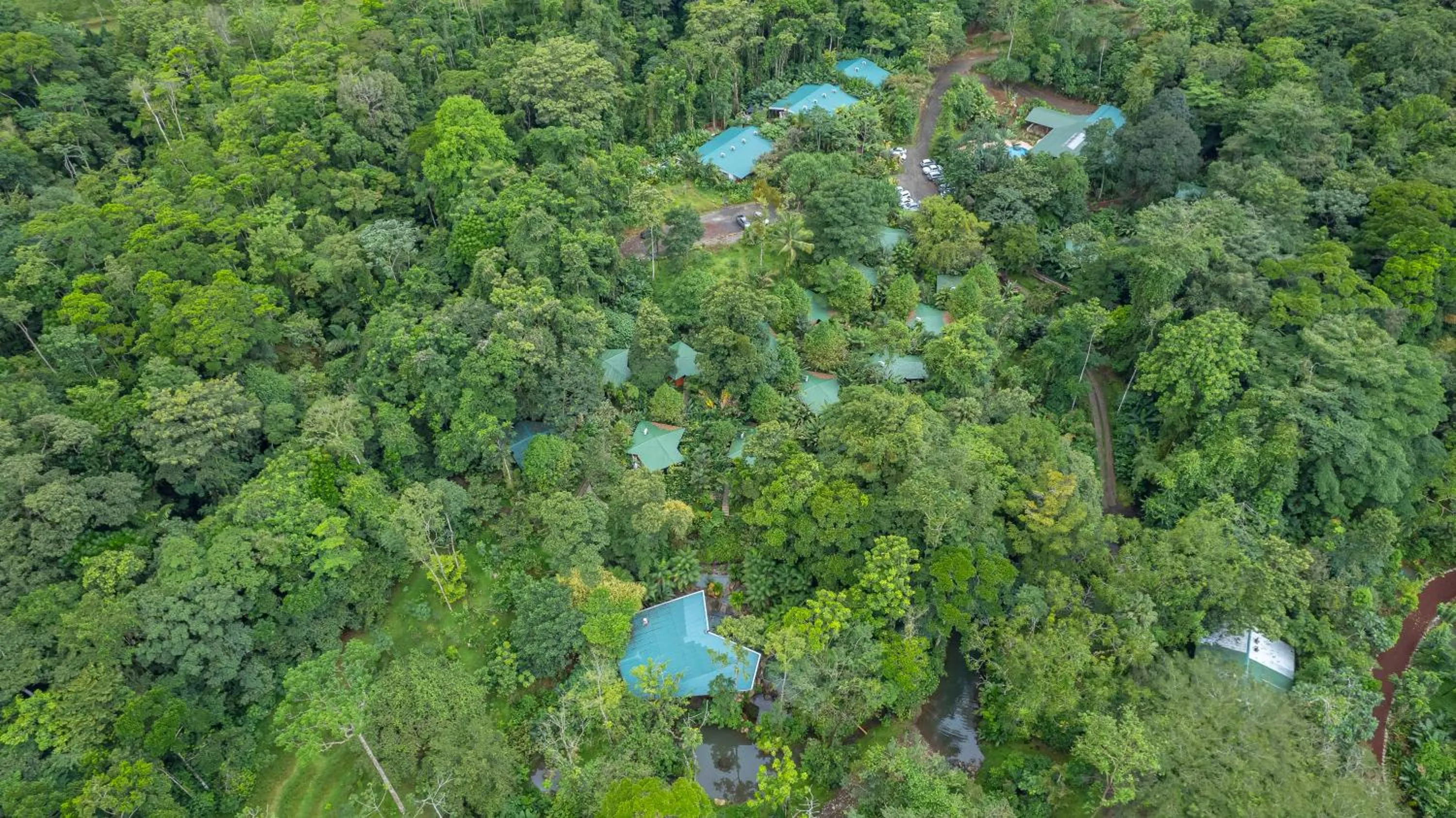 Bird's eye view in Chachagua Rainforest Hotel & Hot Springs