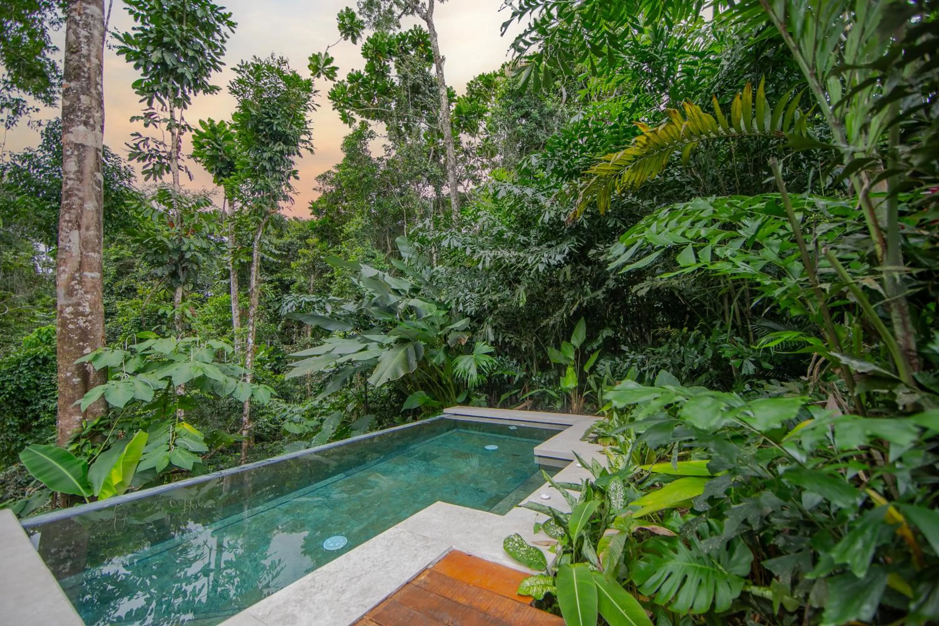 Natural landscape in Chachagua Rainforest Hotel & Hot Springs