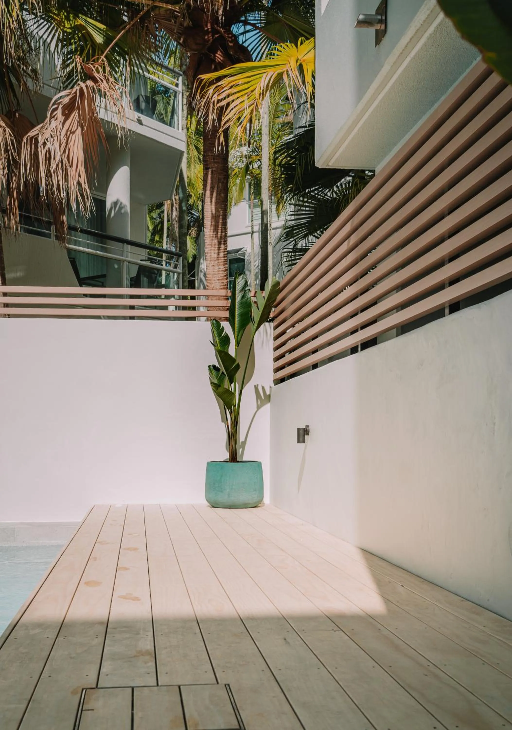 Swimming pool in Bella Casa Noosa