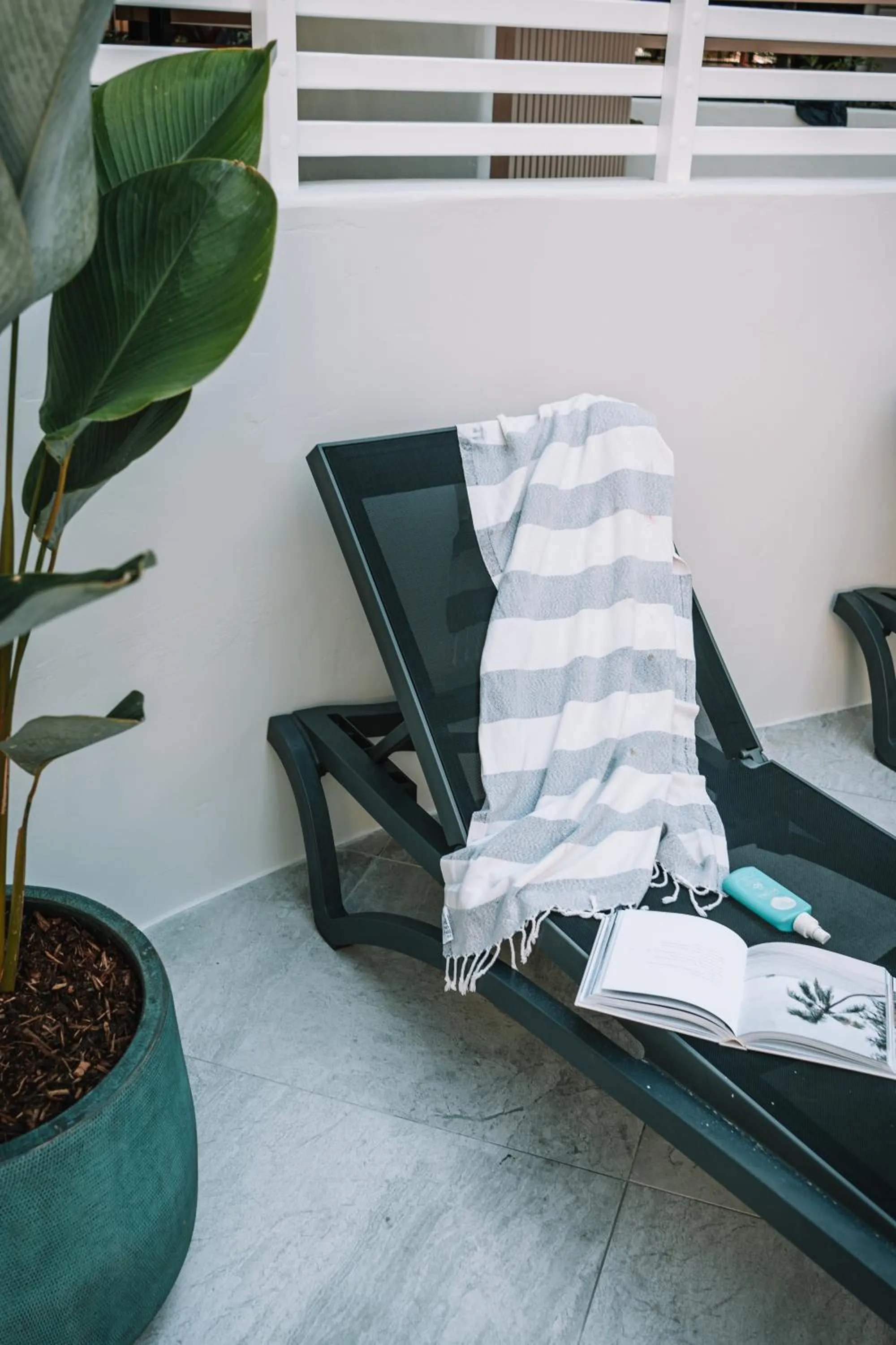 Swimming pool in Bella Casa Noosa