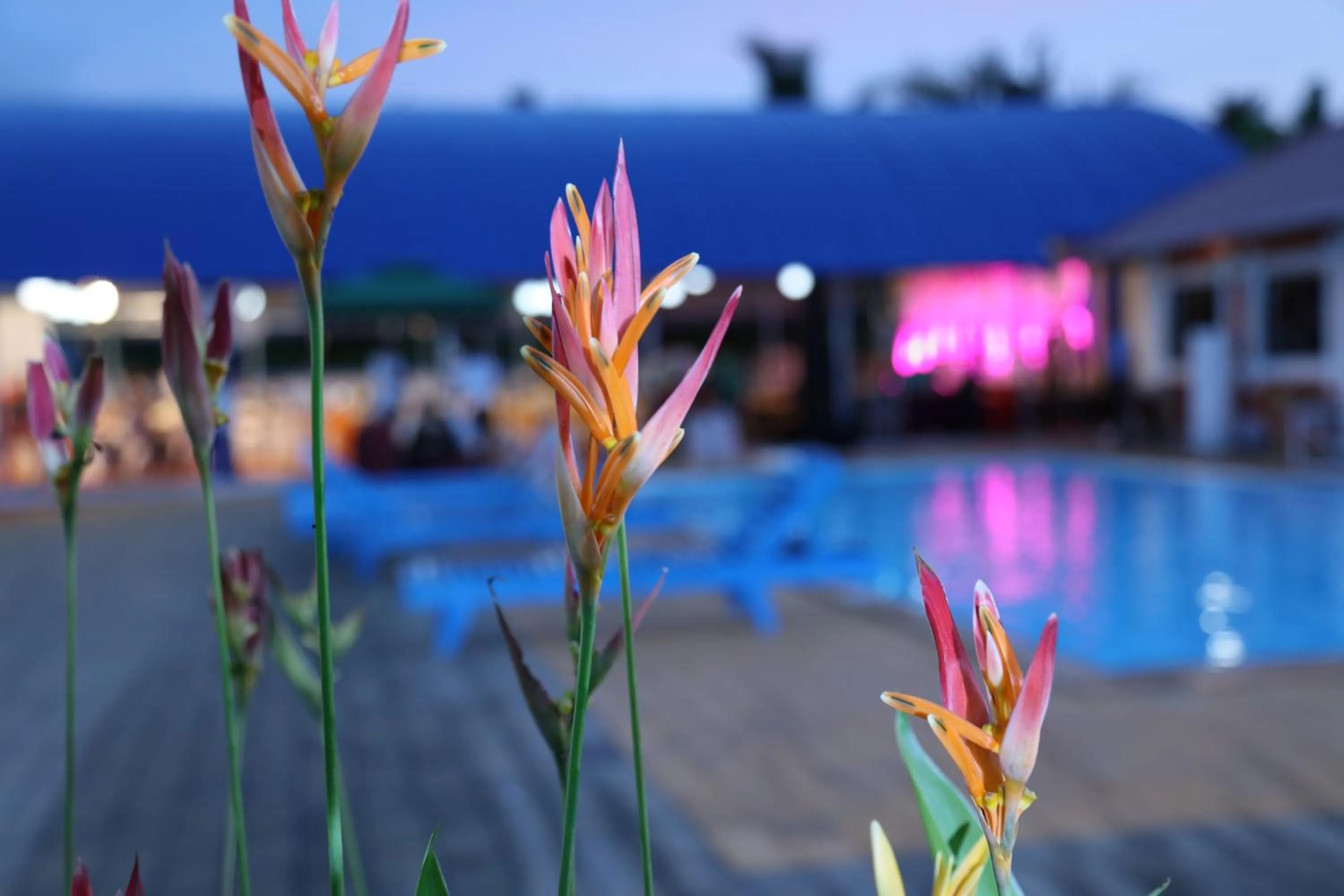 Decorative detail in Renai Blue Waters Cherai