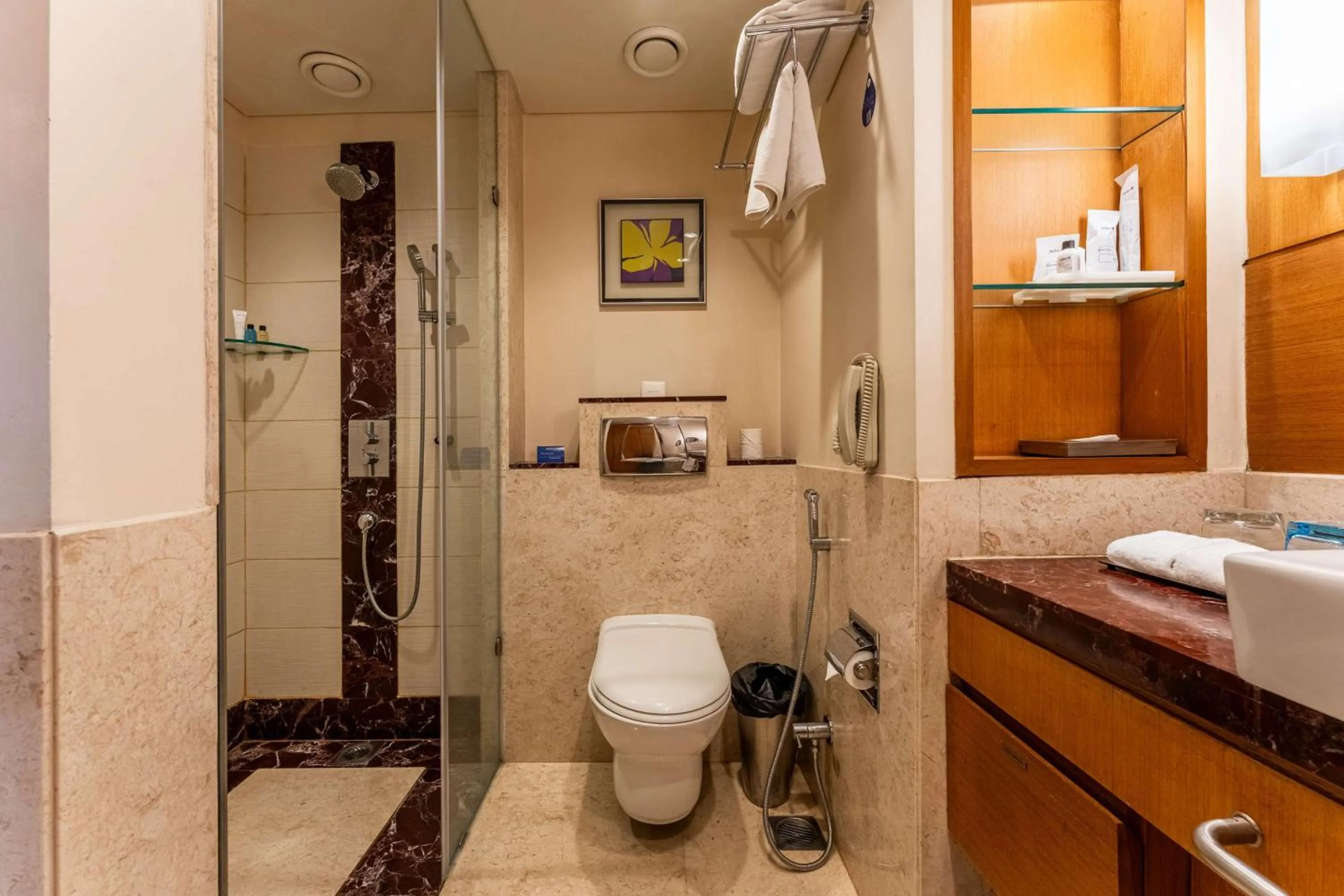 Bathroom in Radisson Blu Hotel, Indore