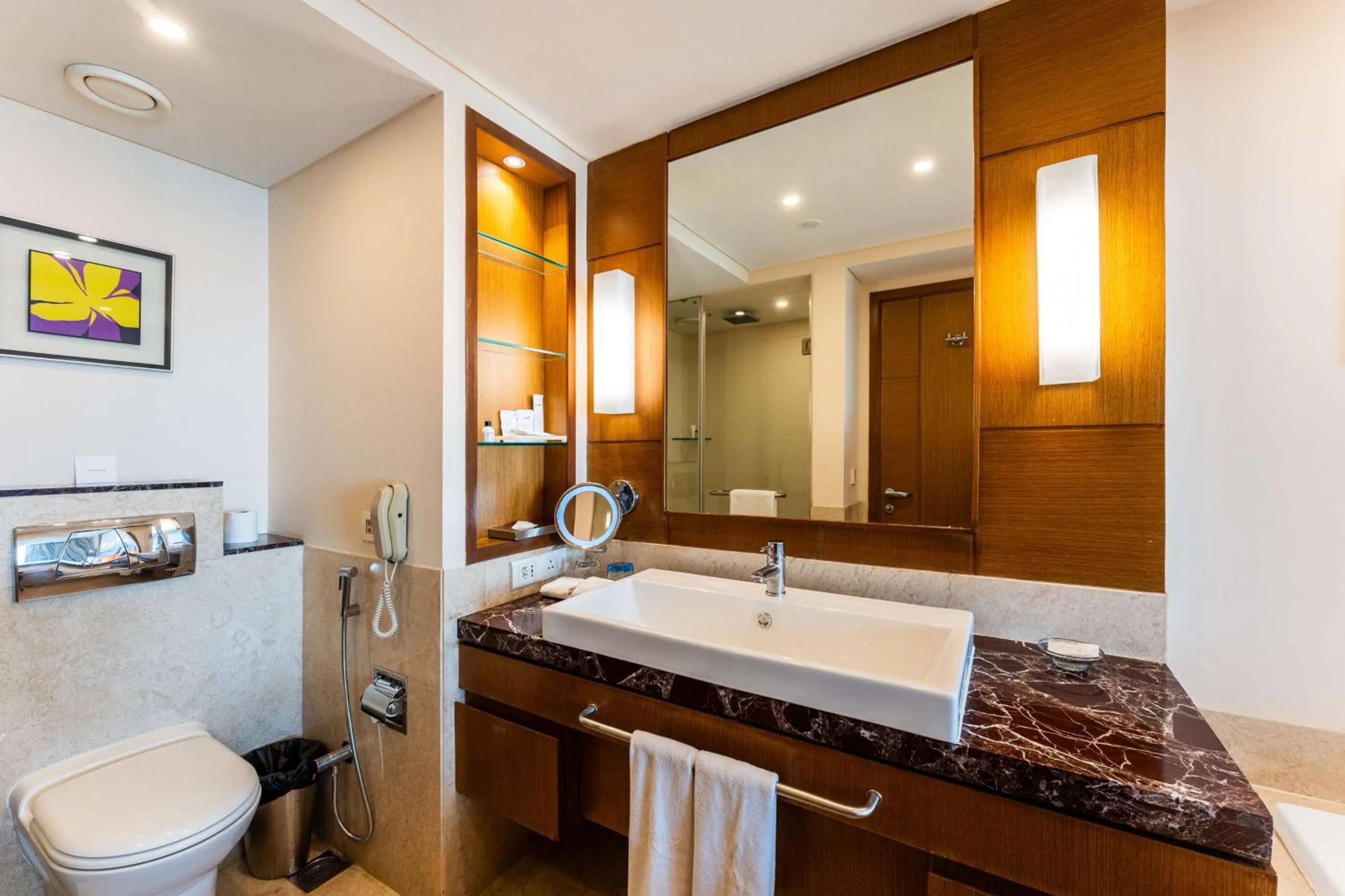 Bathroom in Radisson Blu Hotel, Indore