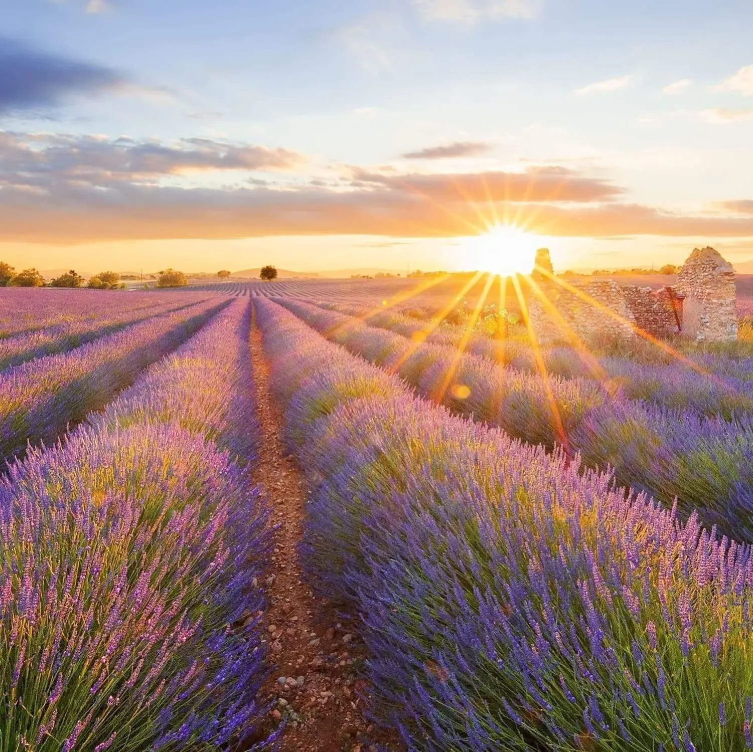 La Villa Tria Castella