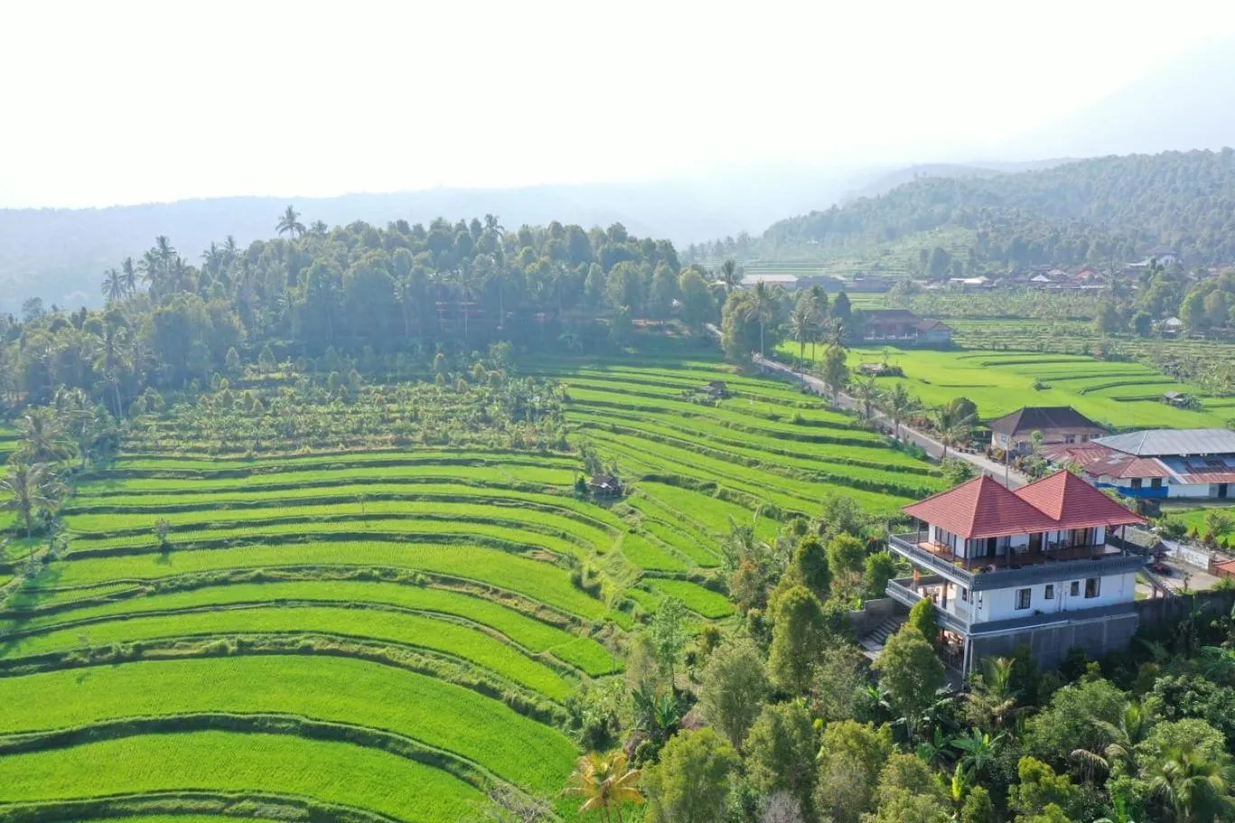 Natural landscape in Candra Cottage