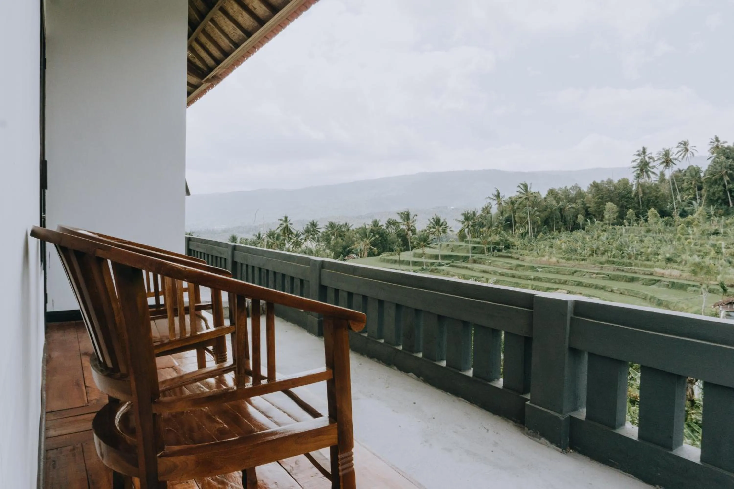 Garden view in Candra Cottage