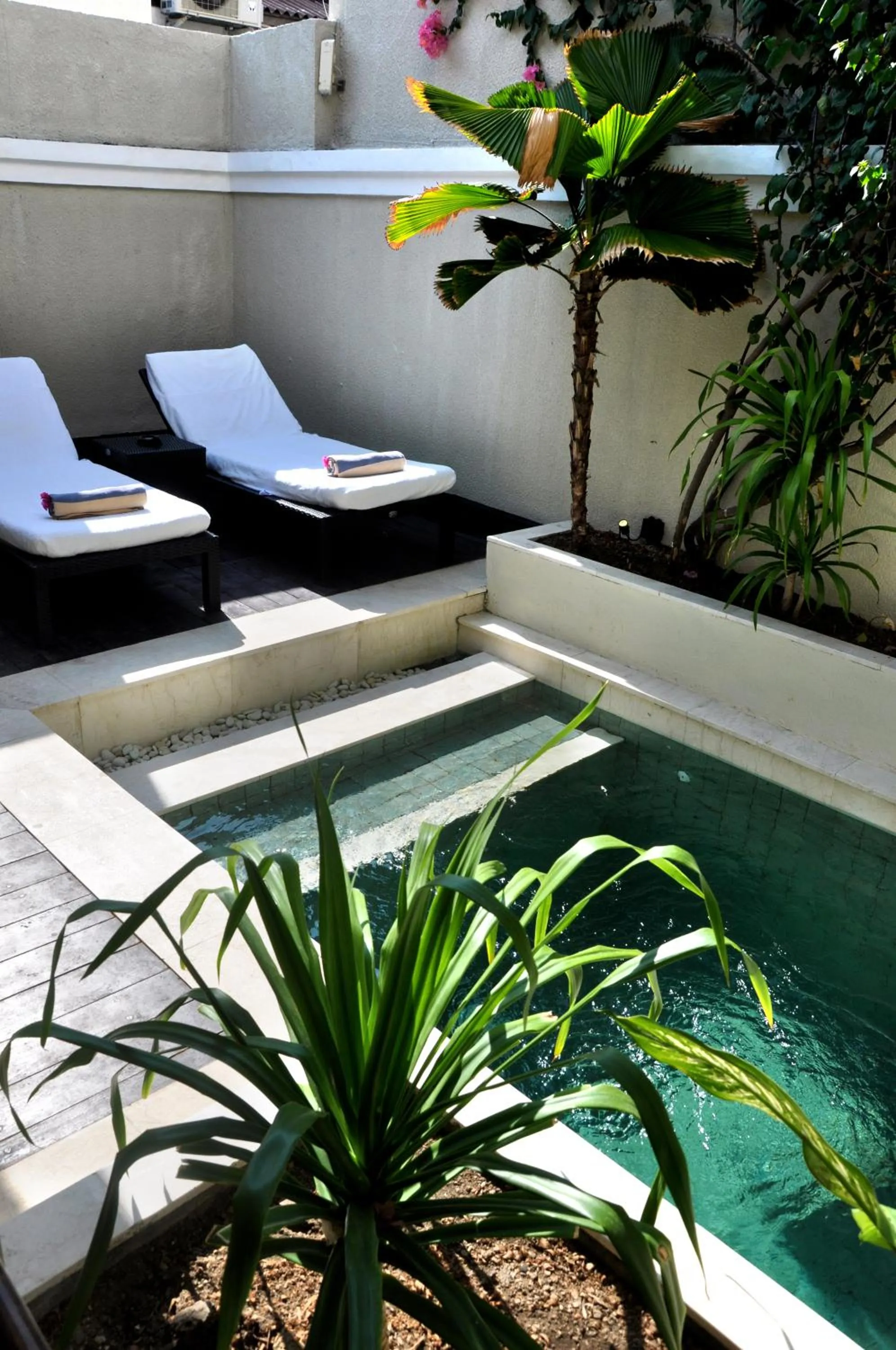 Garden in Kokomo Resort