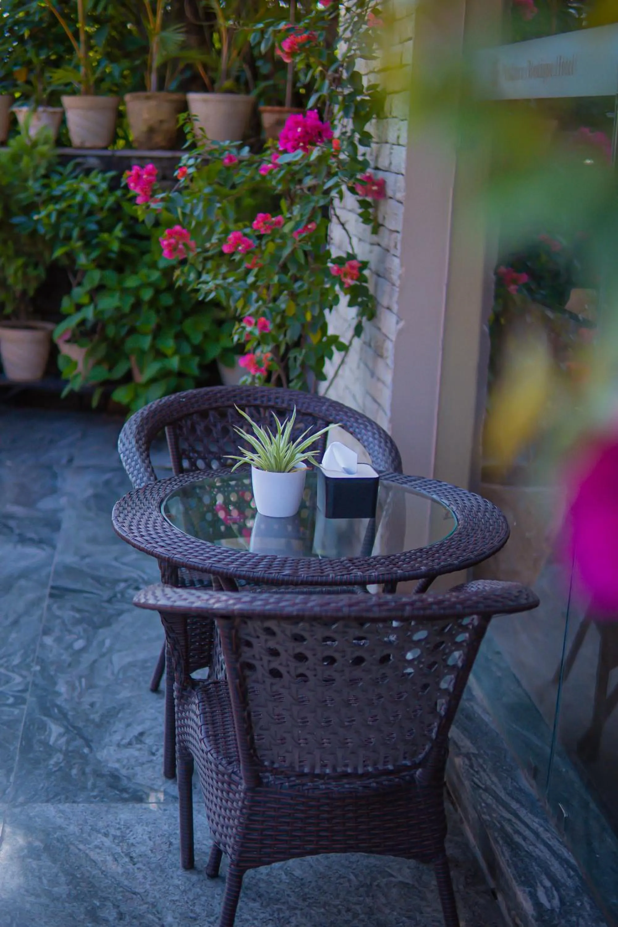 Seating area in Pokhara Boutique Hotel