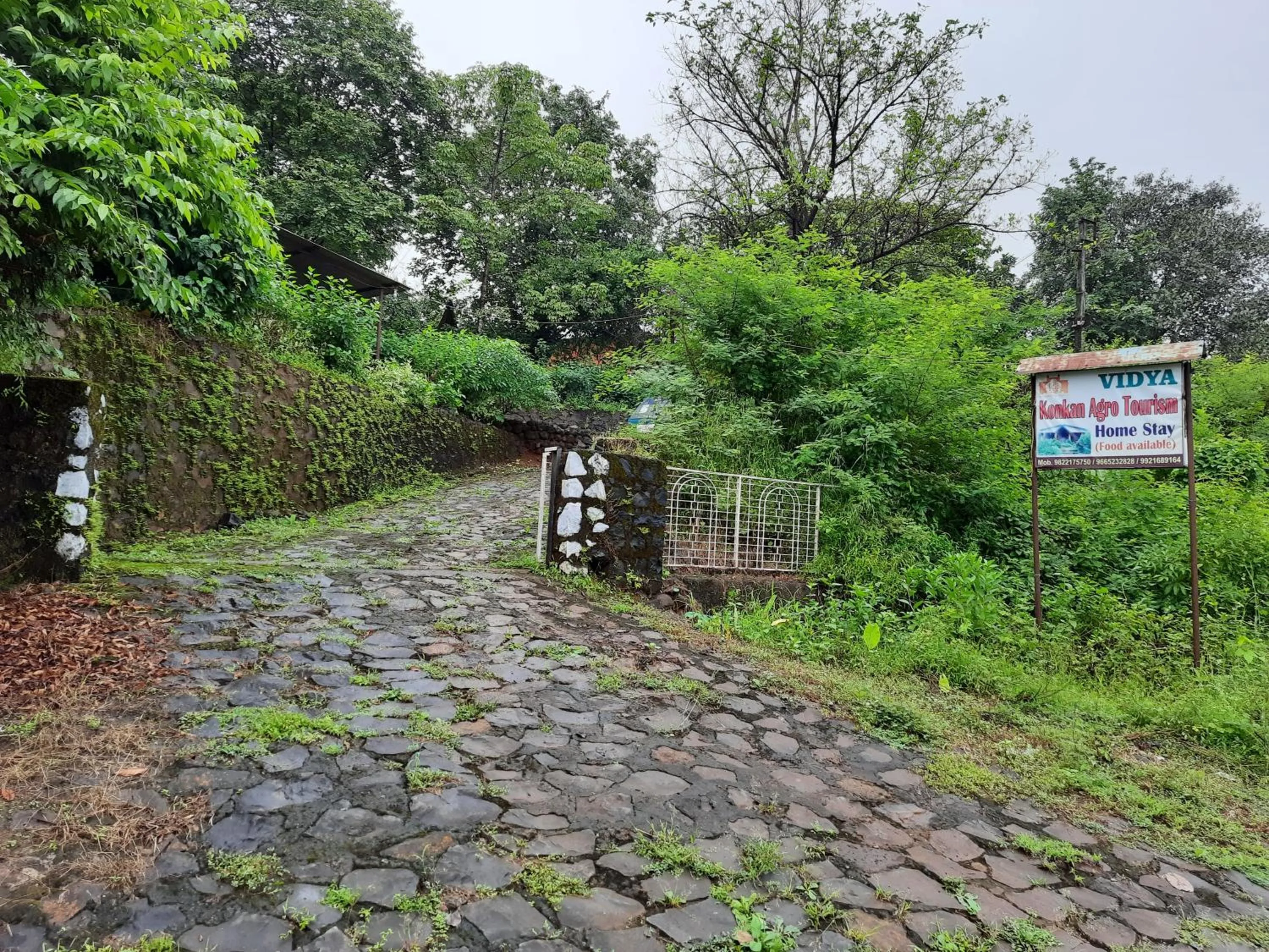 Vidya Konkan Agro Tourism